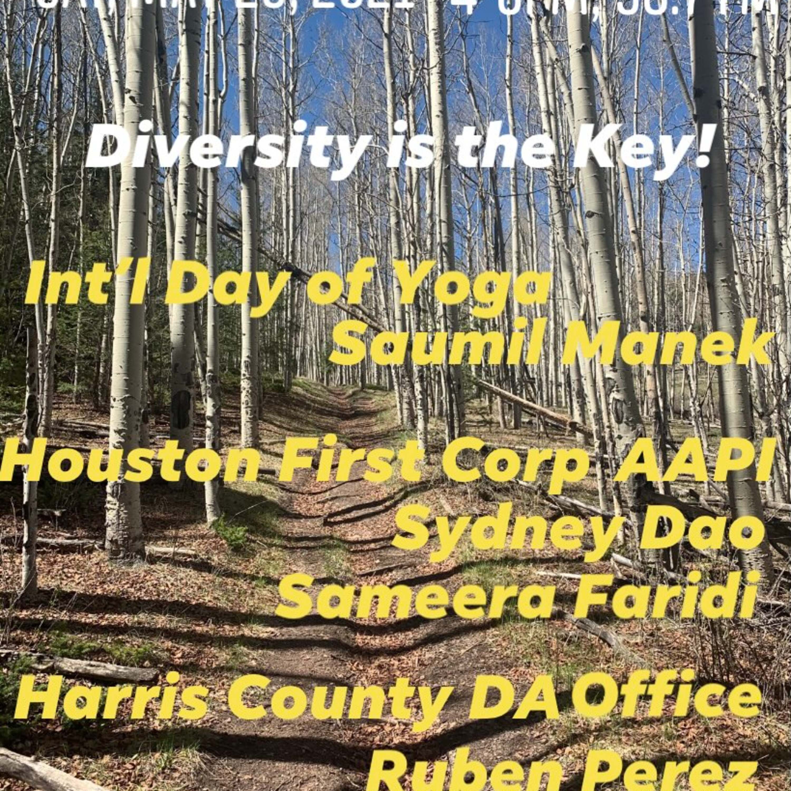 IANR 2122 052921 Int.l Day of Yoga Saumil Manek; Houston First Corp Sydney Dao, Sameera Faridi; Harris County DA Off Ruben Perez, Rafay Rasheed episode artwork