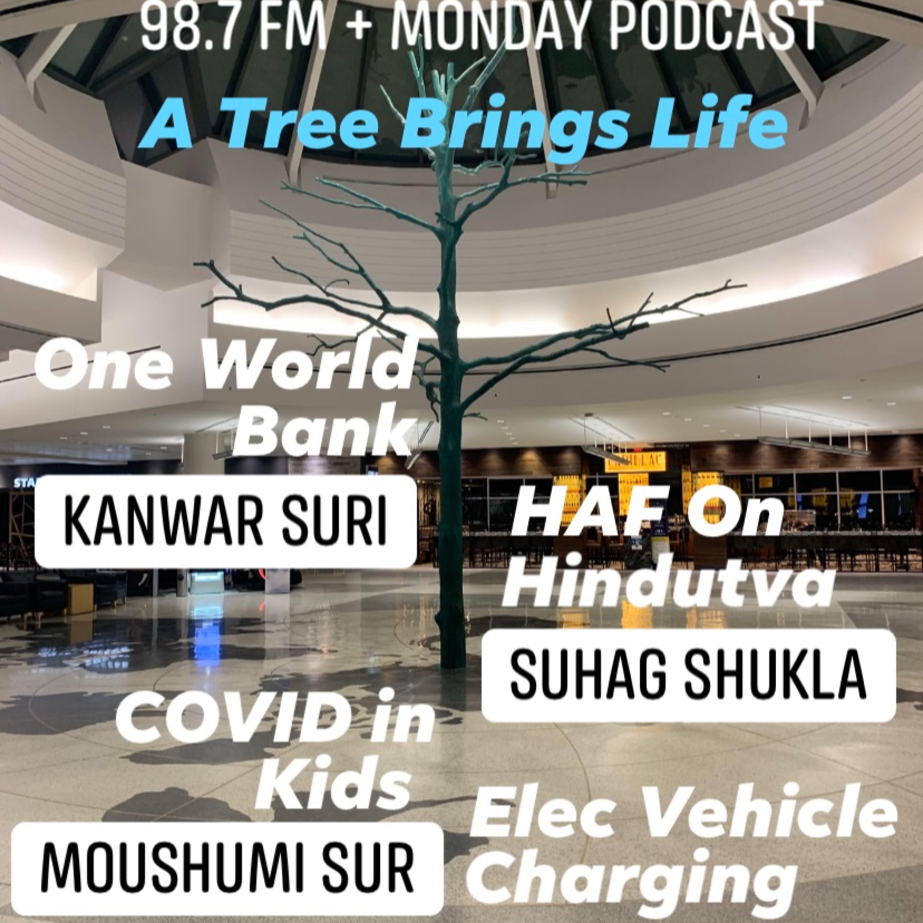 IANR 2135 082821 One World Bank Kanwar Suri; Hindu American Foundation Exec Dir Suhag Shukla; COVID in kids by Dr. Moushoumi Sur; Electric Vehicle Charging Anup PArikh episode artwork