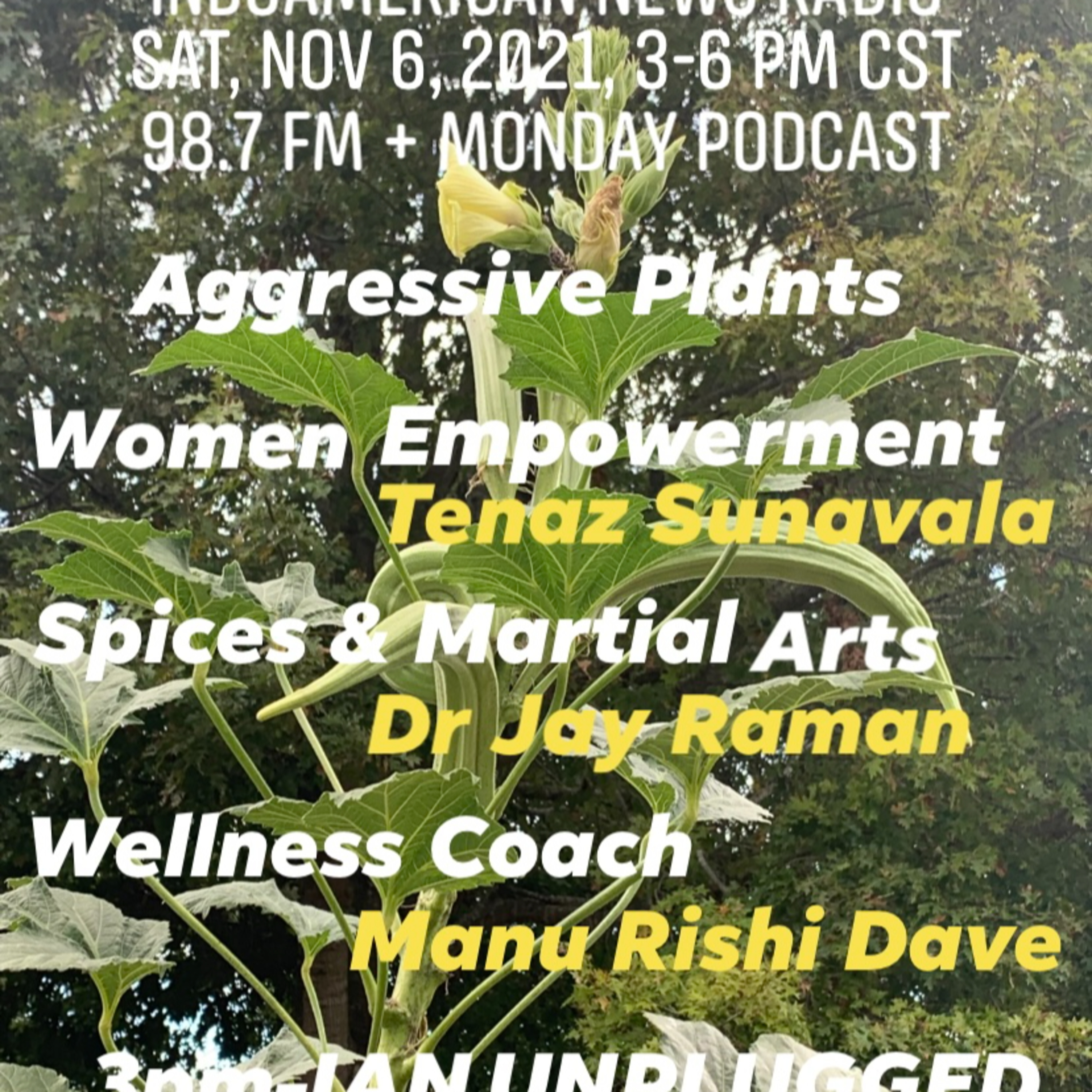 IANR 2145 110621 Path to Empowerment by Tenaz Sunavala; Spices & Martial Arts by Dr Jay Raman; Wellness Coach Manu Dave episode artwork