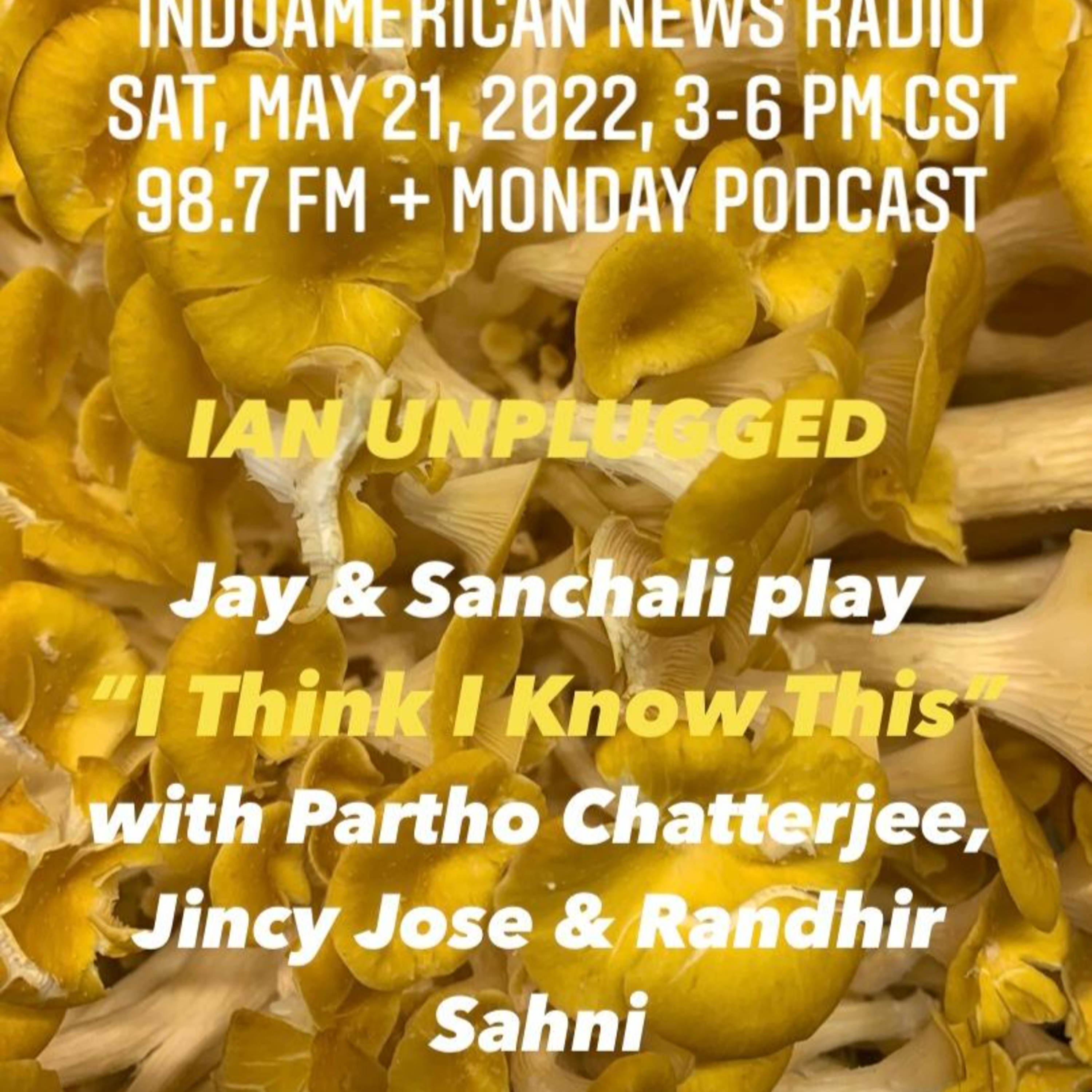 IAN Unplugged 2221 052122 Jay & Sanchali play the quiz game "I Think I Know This" with Jincy Jose, Partho Chatterjee & Randhir Sahni episode artwork