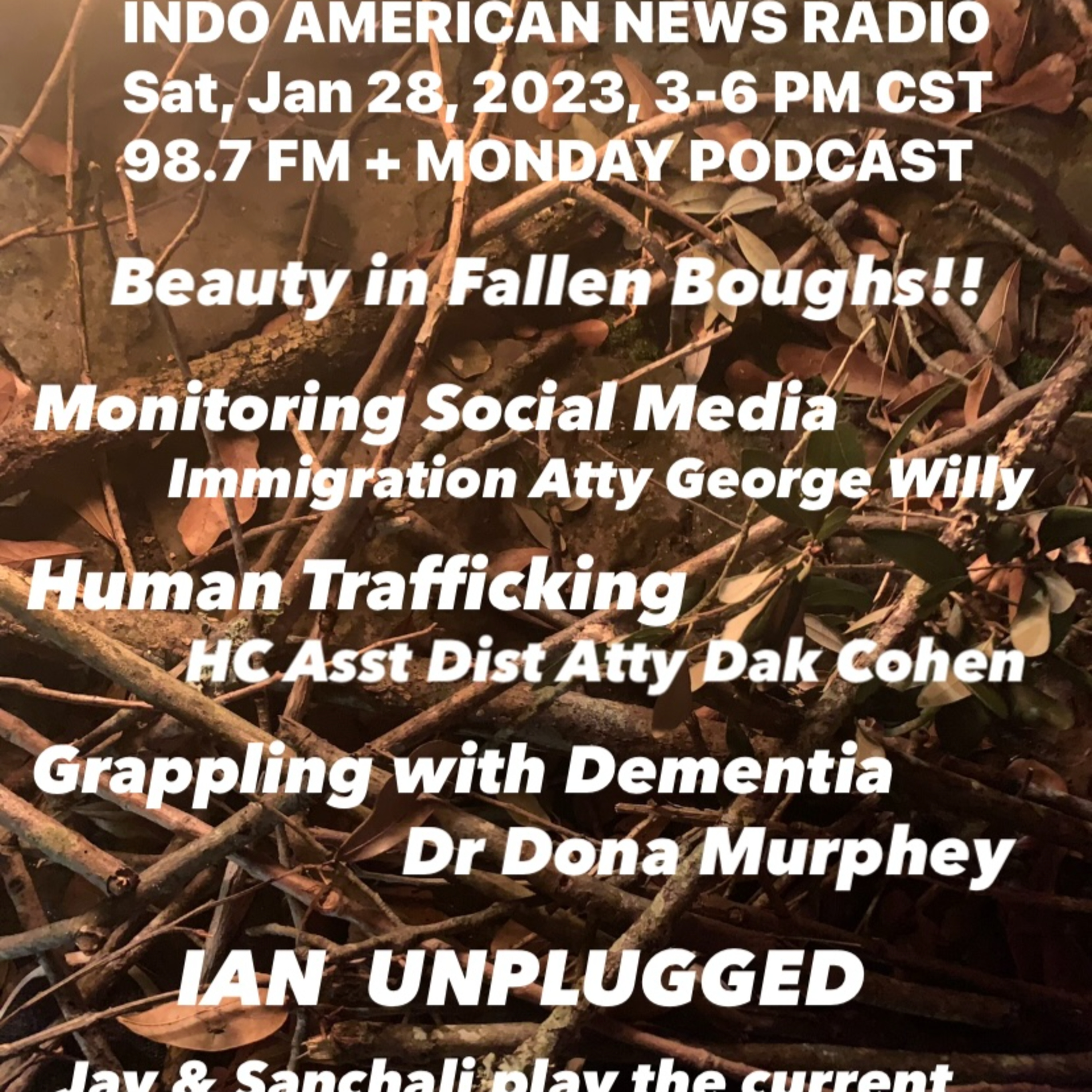 Indo American News Radio Houston TX