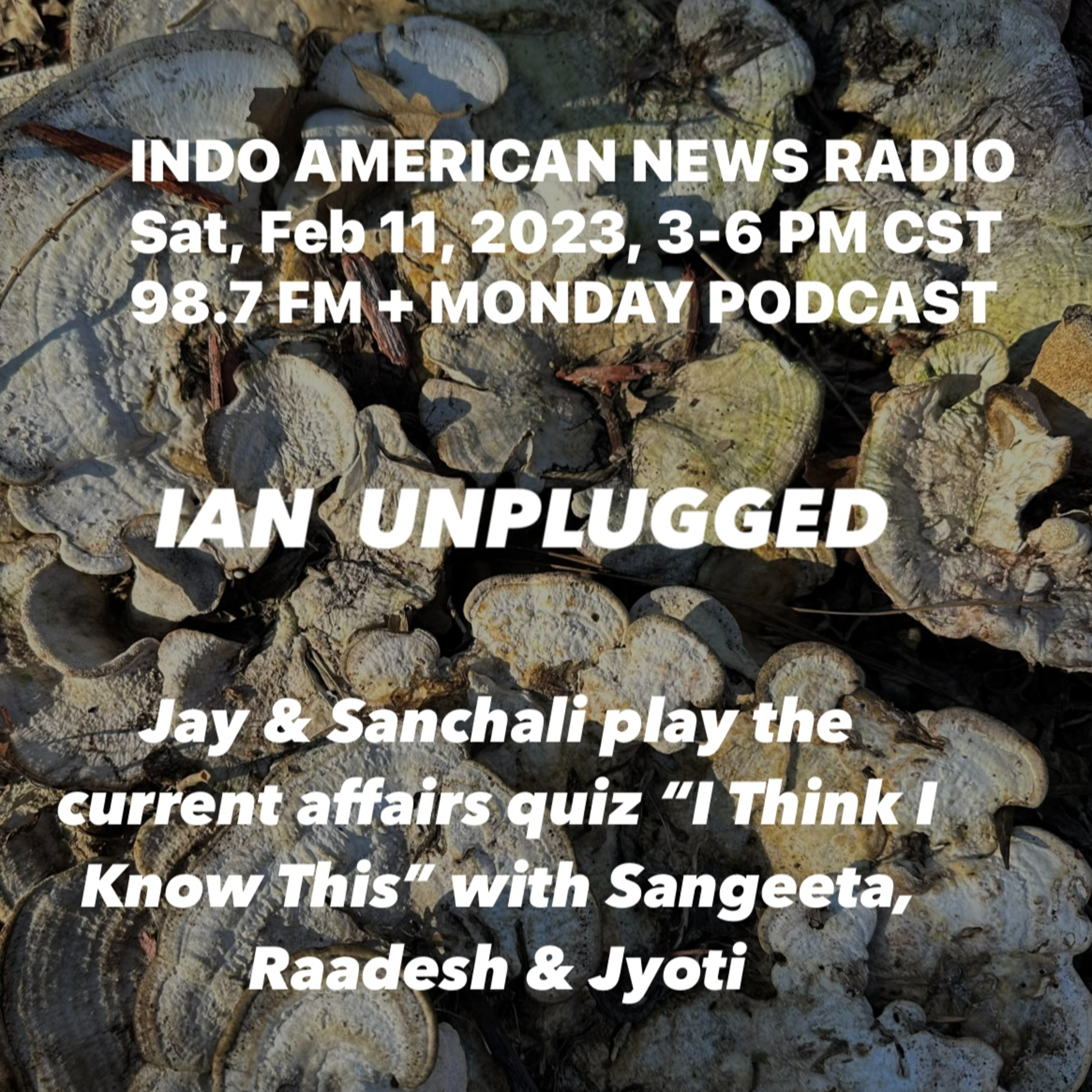 IAN Unplugged 2306 021123 Jay & Sanchali play I Think I Know This with Sangeeta Dua, Raadesh Gupta & Jyoti Mann episode artwork