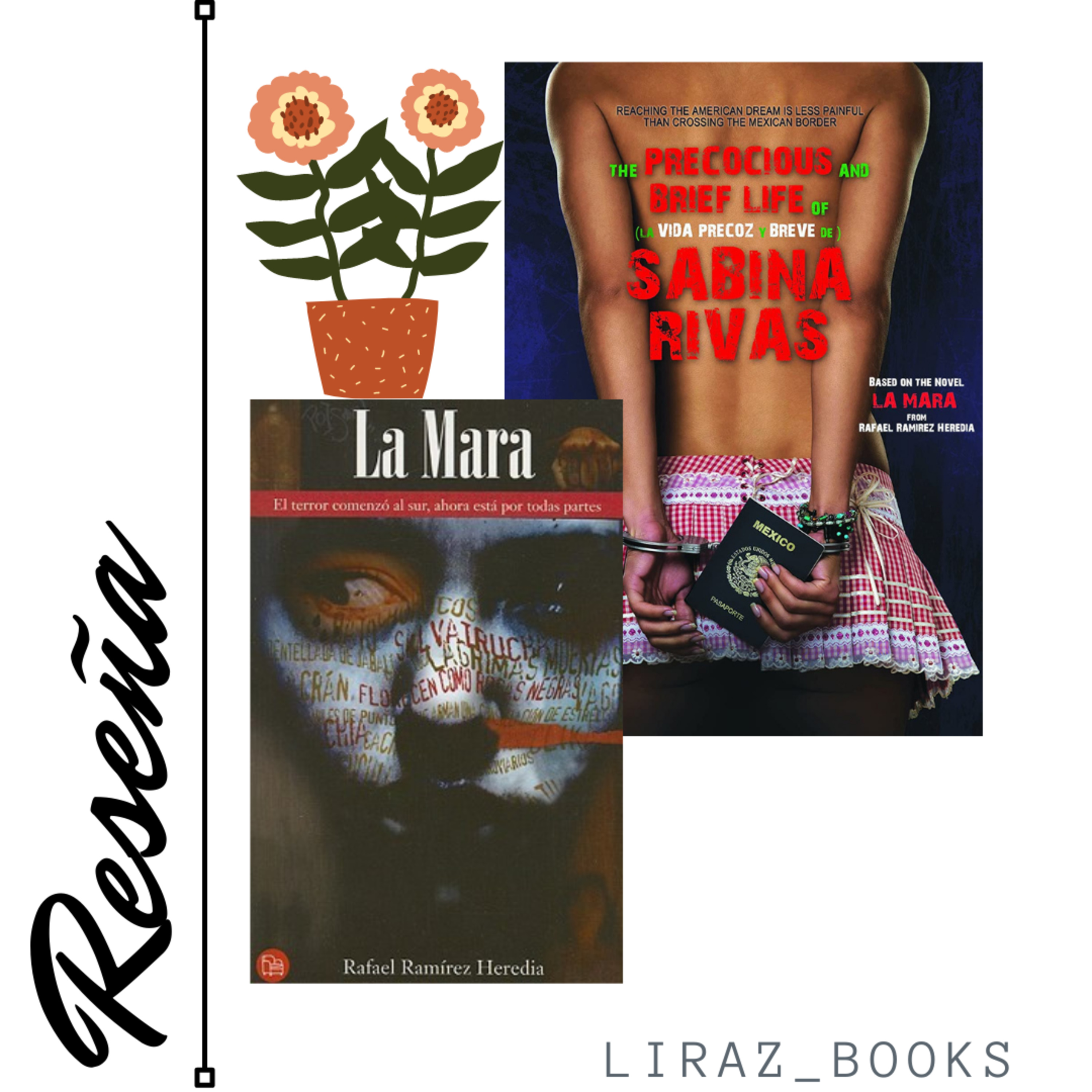 Reseñas Literarias De Liraz