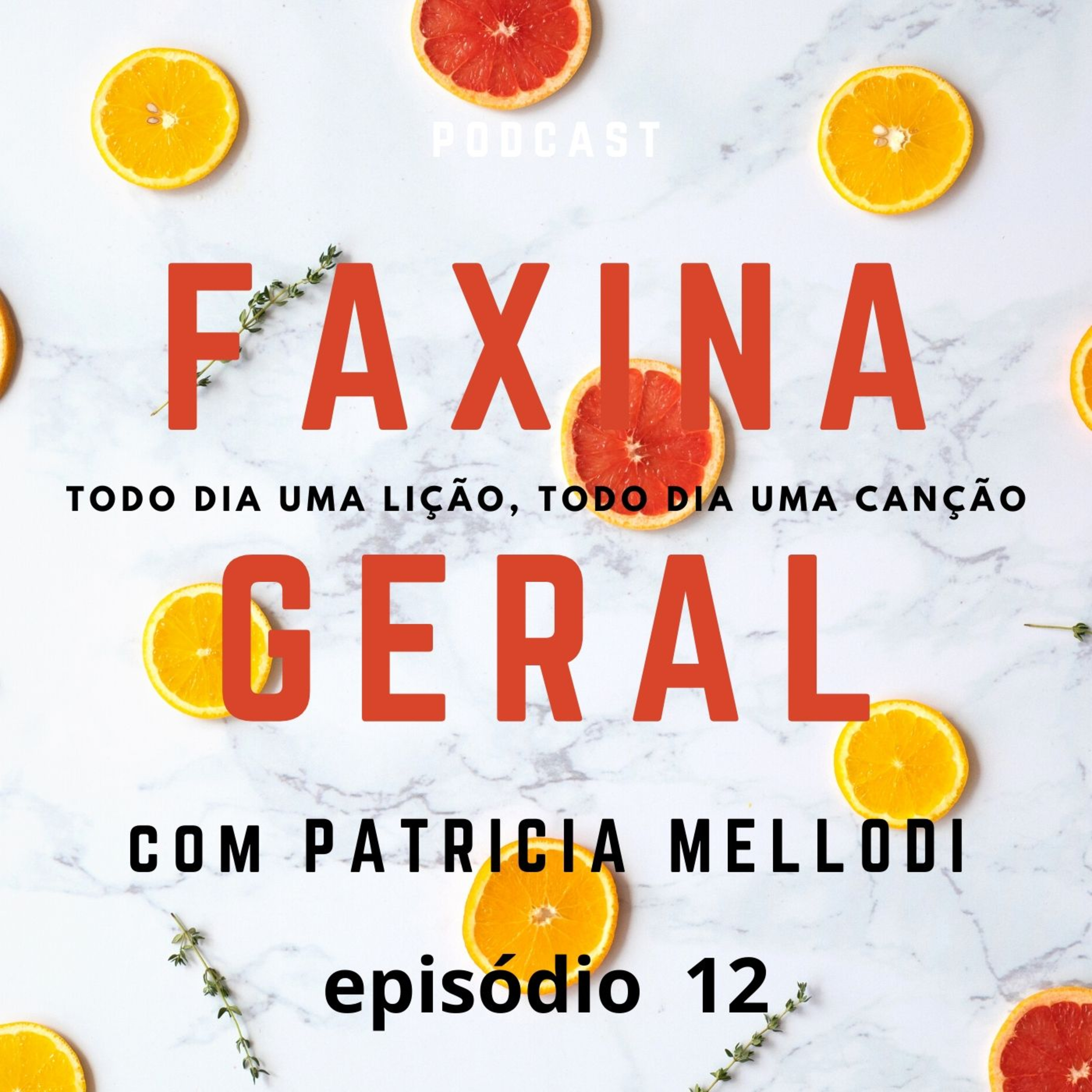Faxina Geral