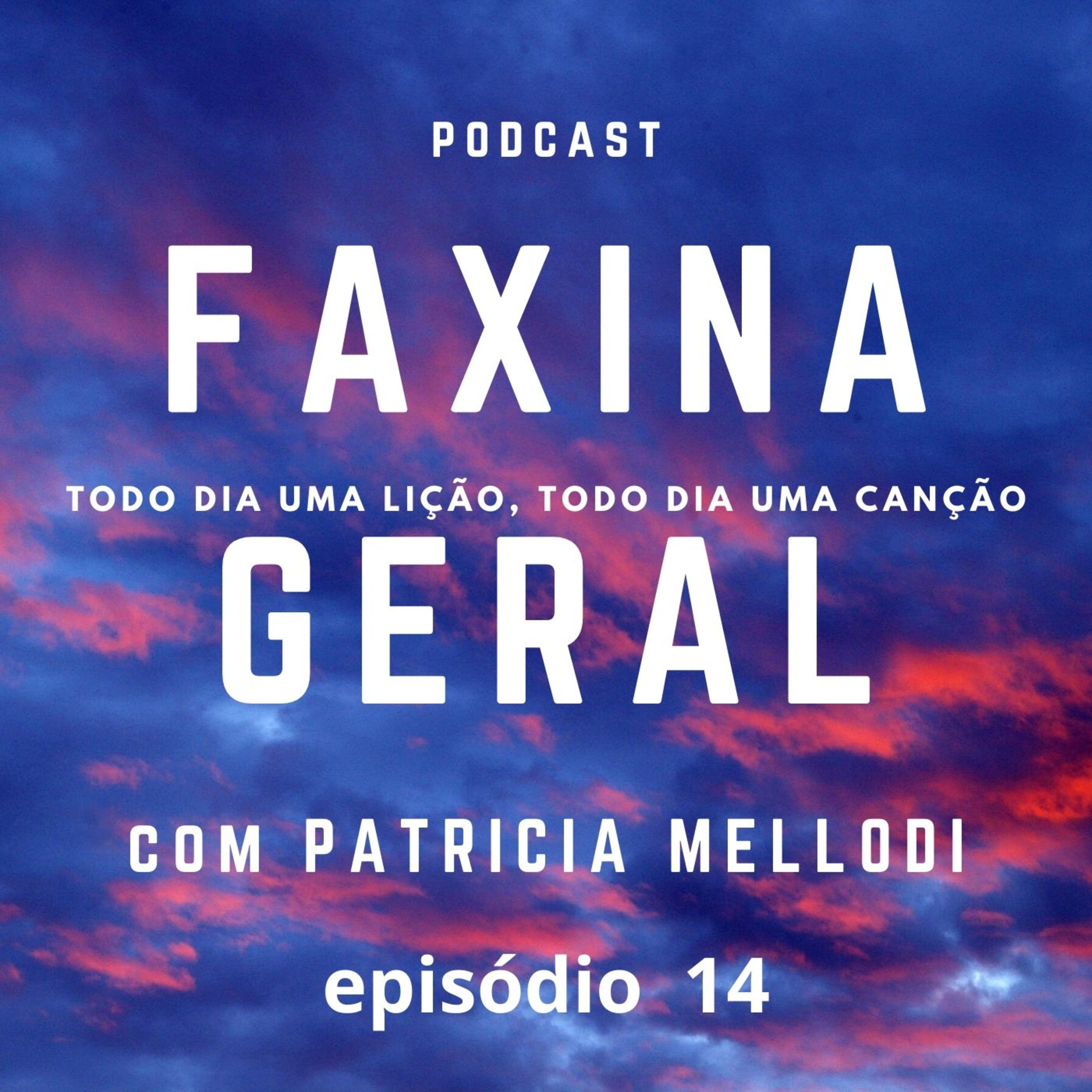 Faxina Geral