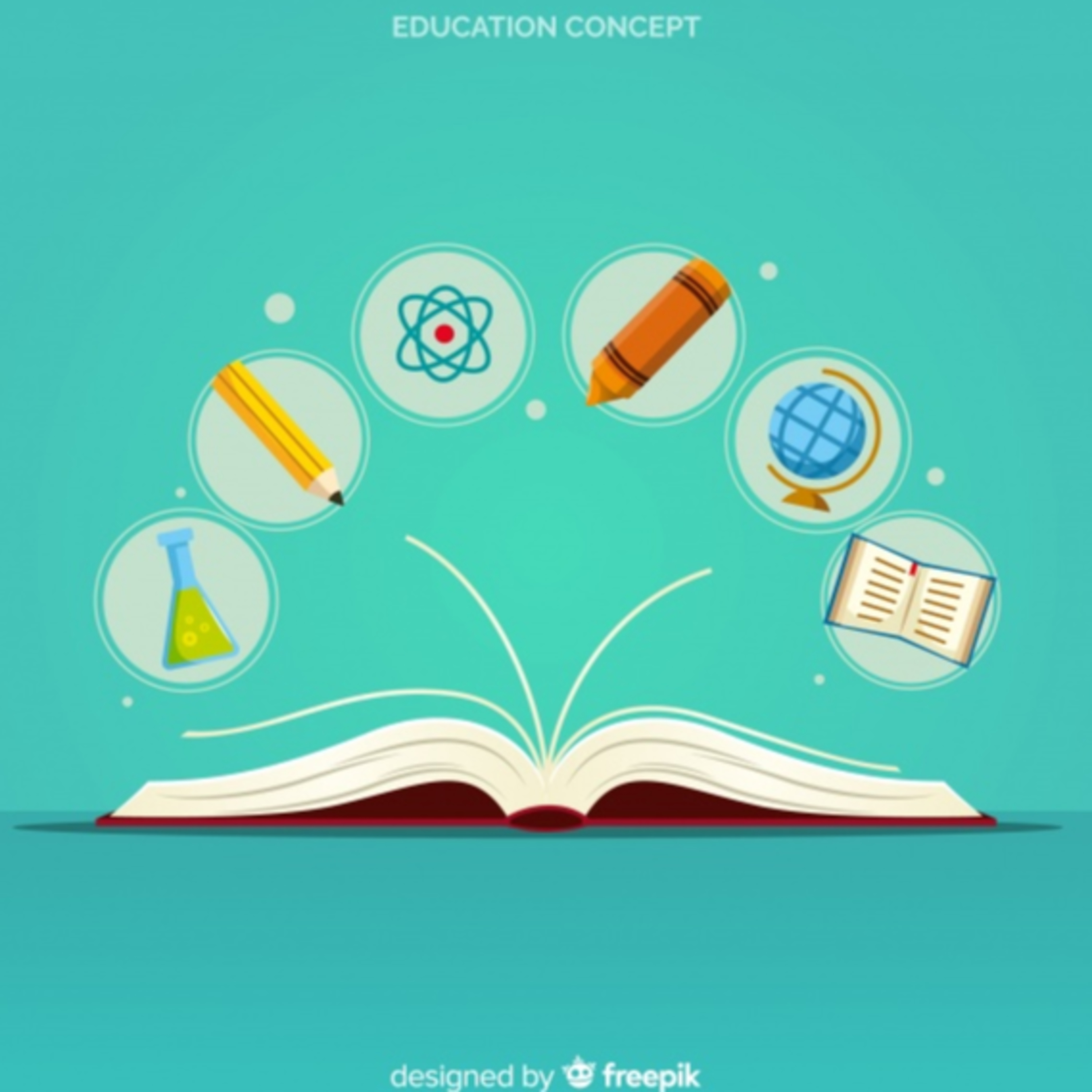 Curriculum del sistema educativo