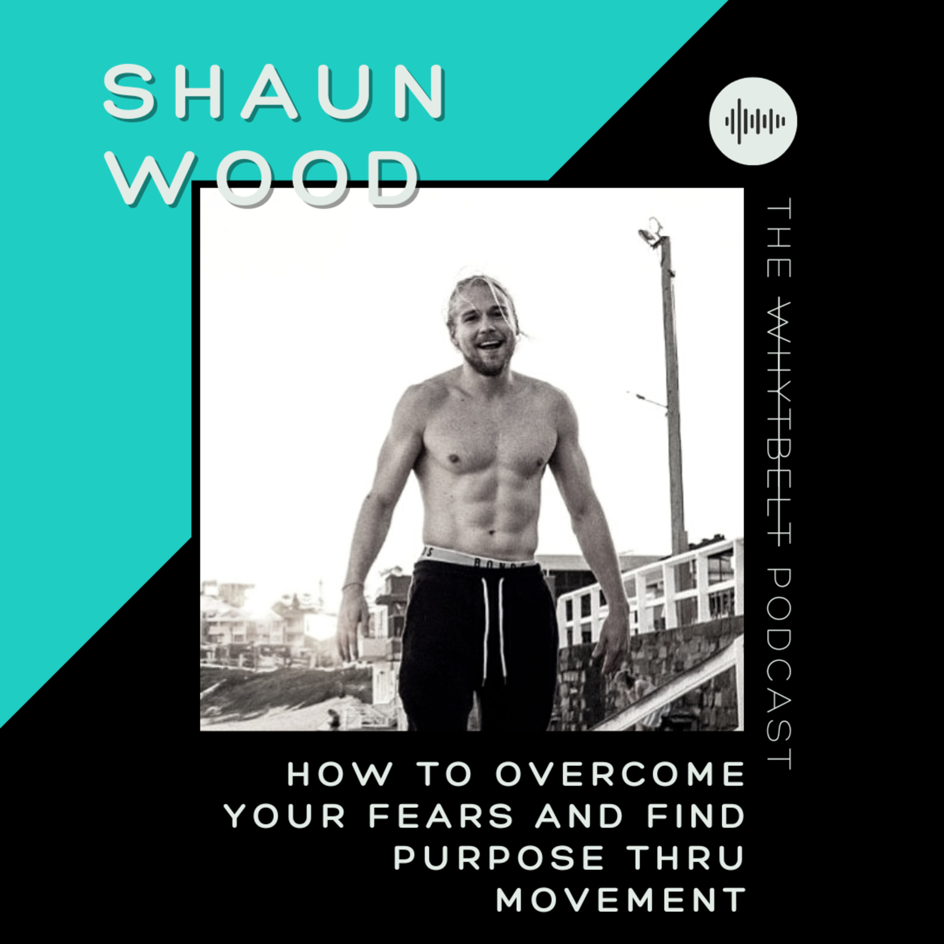 019 - How to Conquer Your Fear and Cultivate Purpose thru Movement w/ Shaun Wood episode artwork