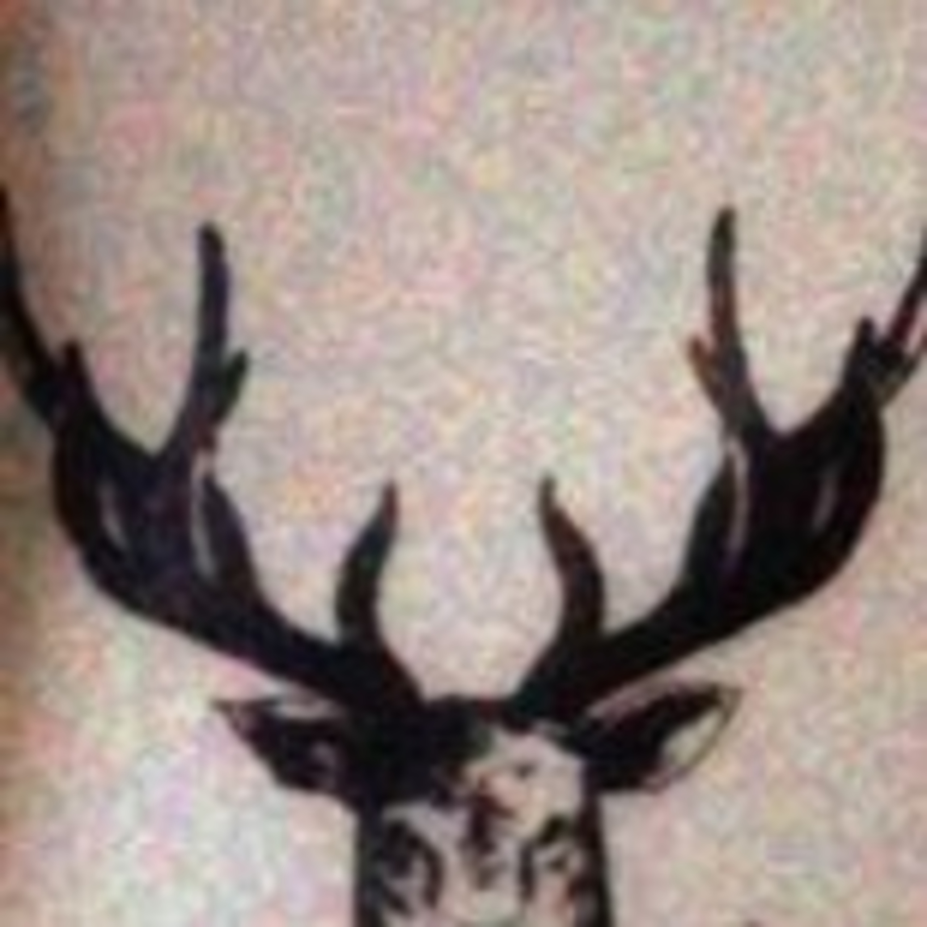 Perkembangan Kognitif Teori Jean Peaget Bersama Redhi (Reza Dan Aldhi)