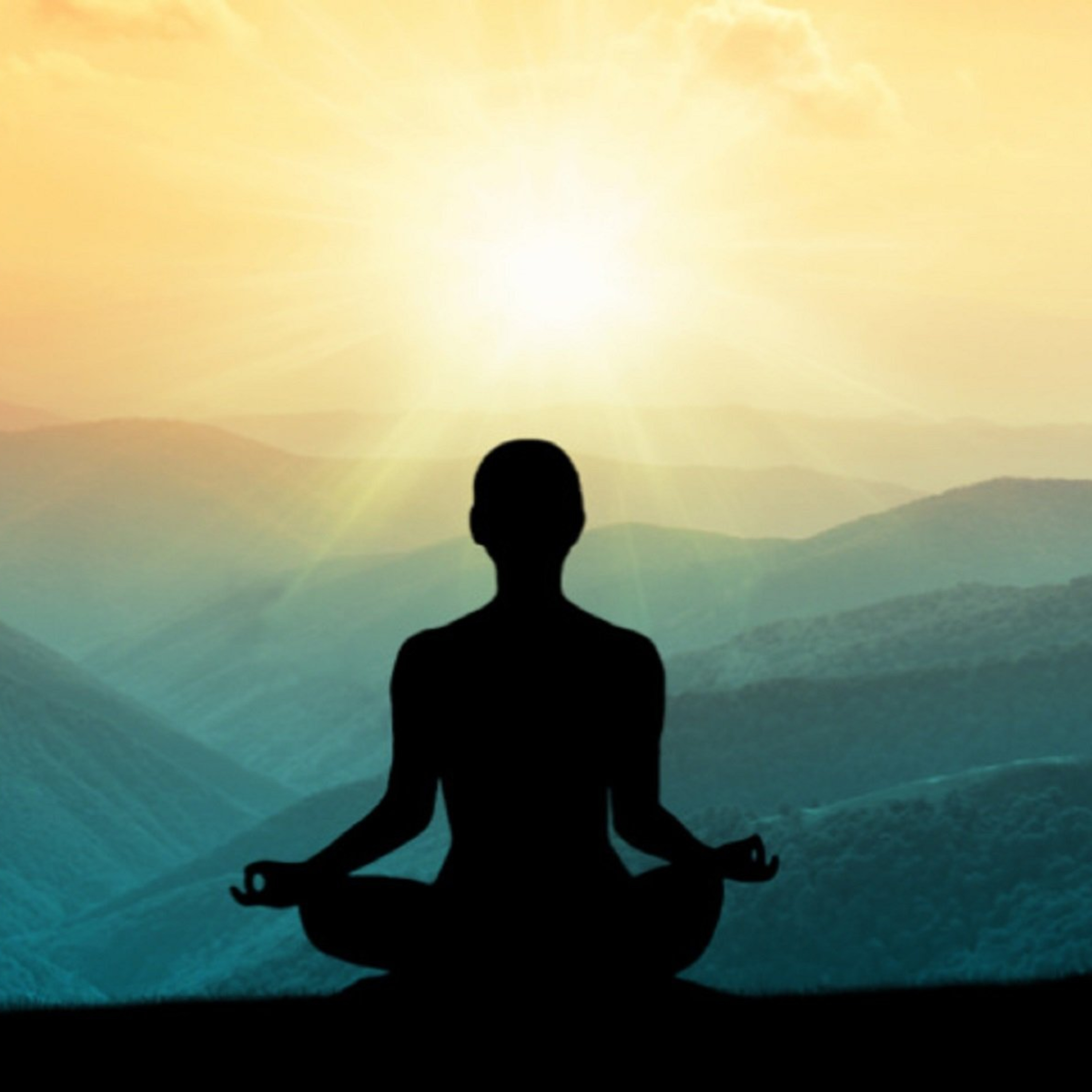 Ep. 18: Mindfulness vs Vipassana