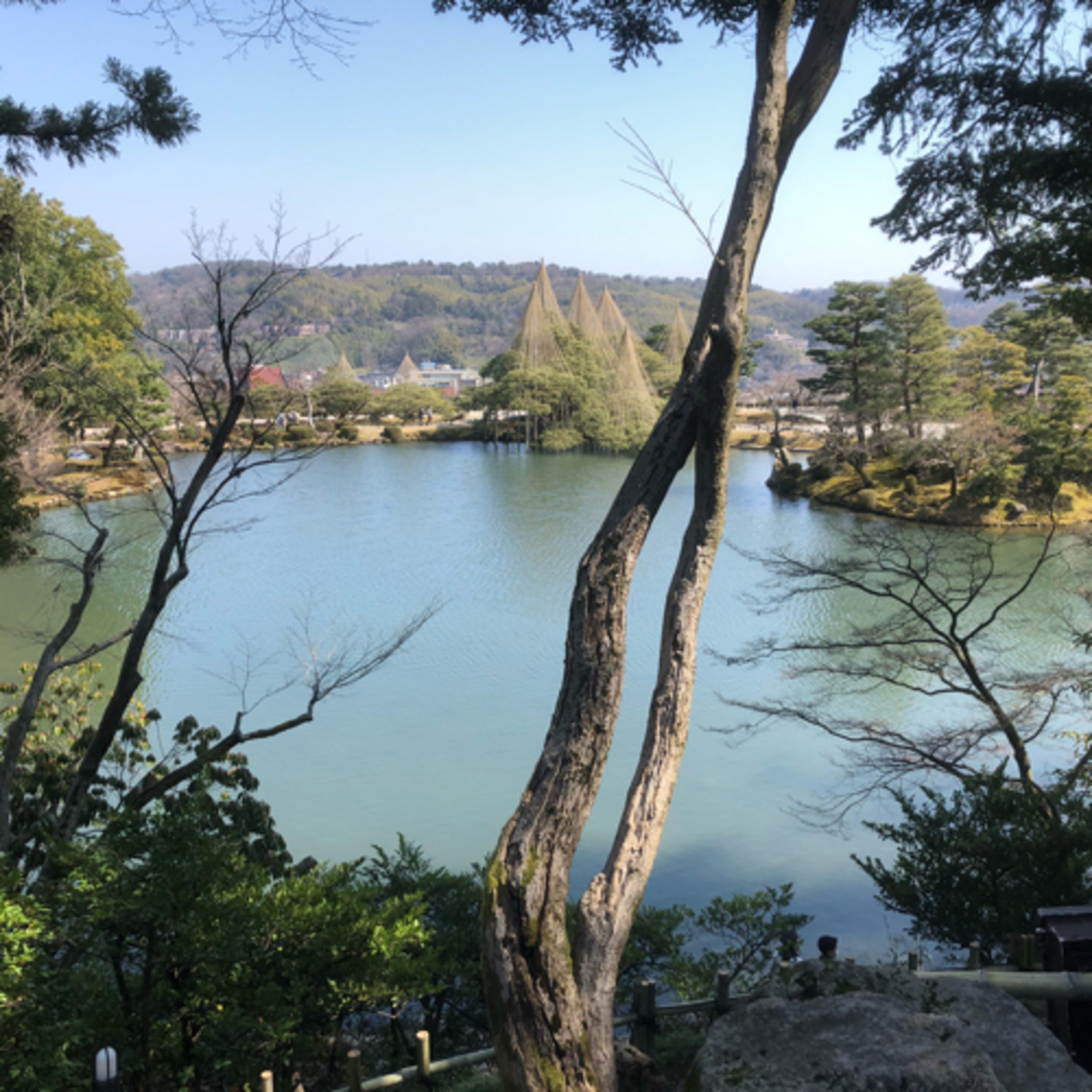 Ep. 19: Small talk with the Buddha