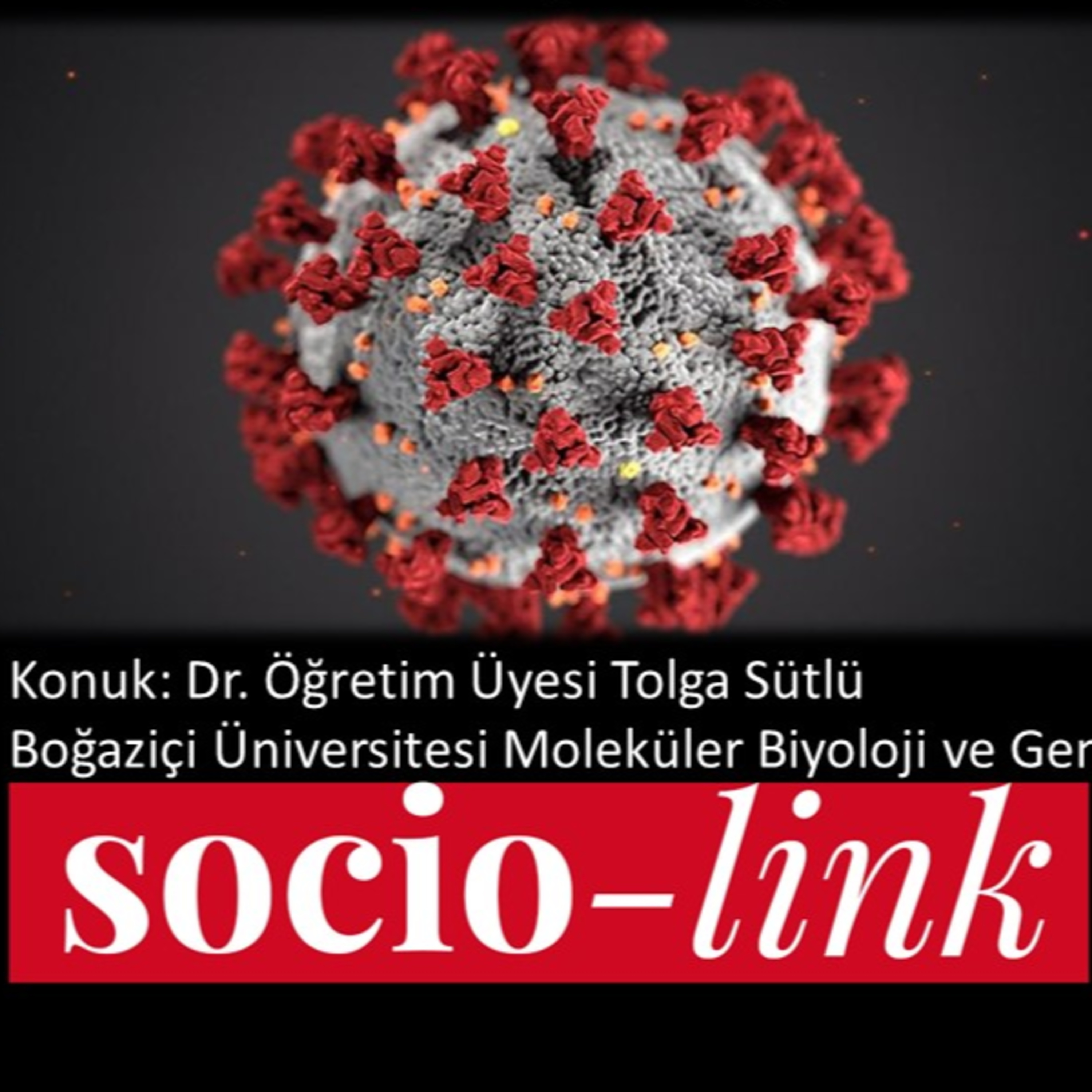 Socio-Link