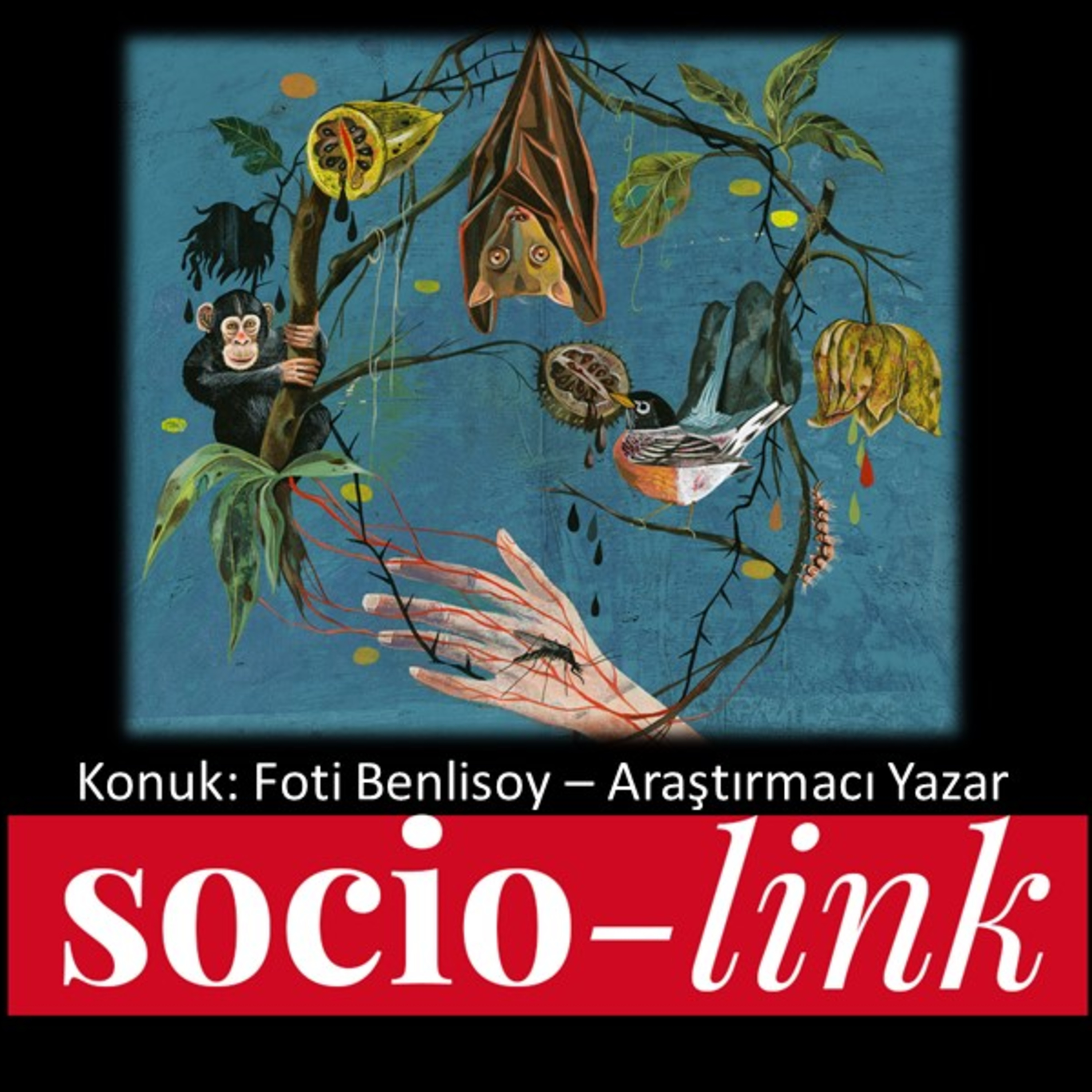 Socio-Link