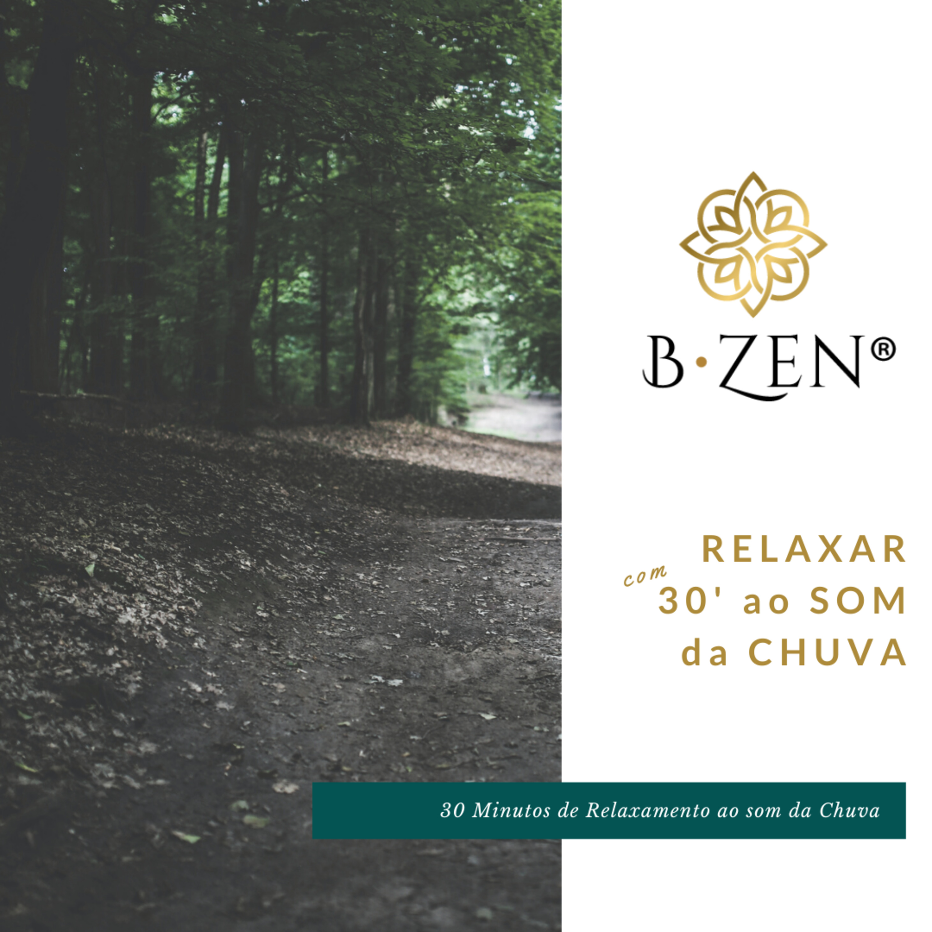 B-Zen®