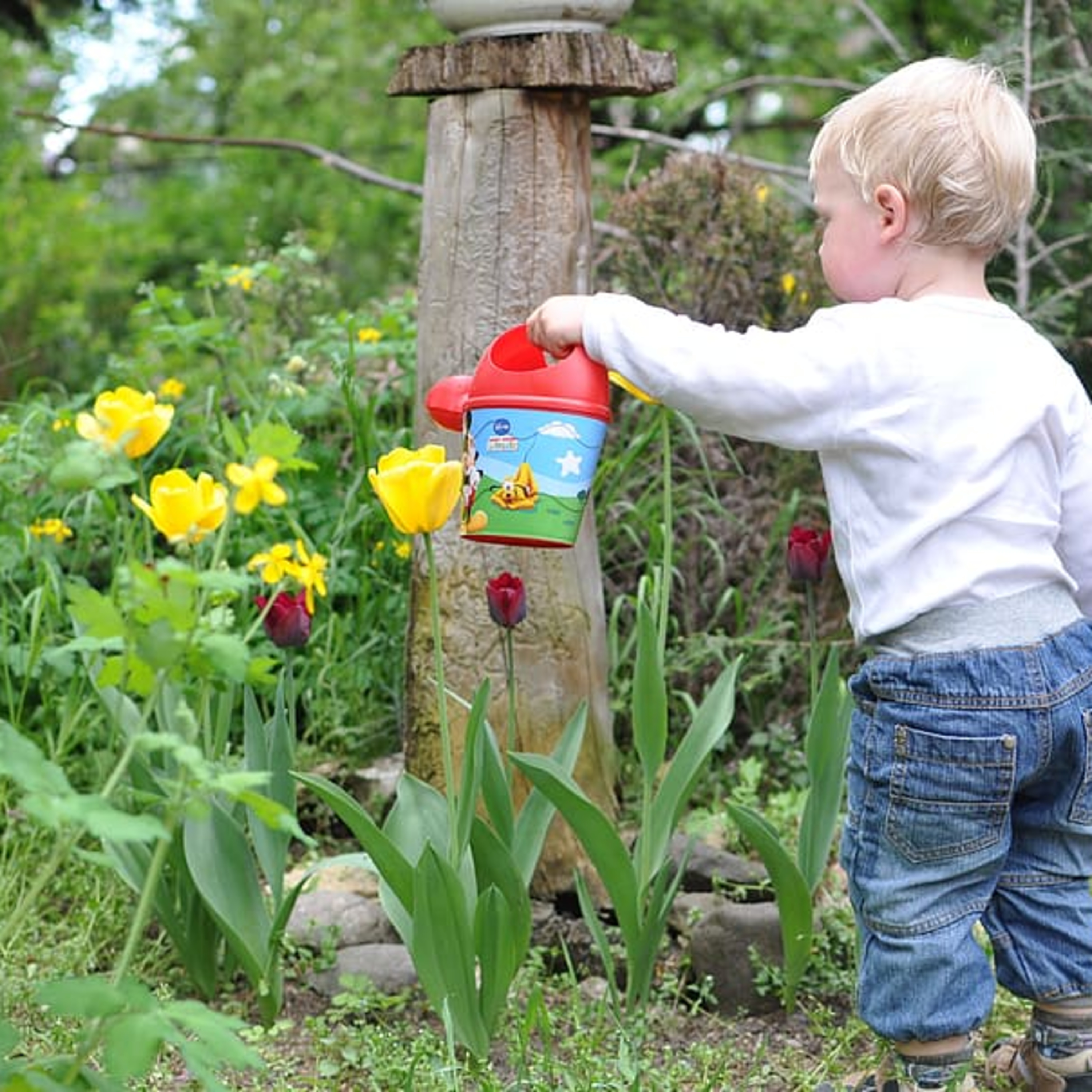 Best Children's Growth Supplements