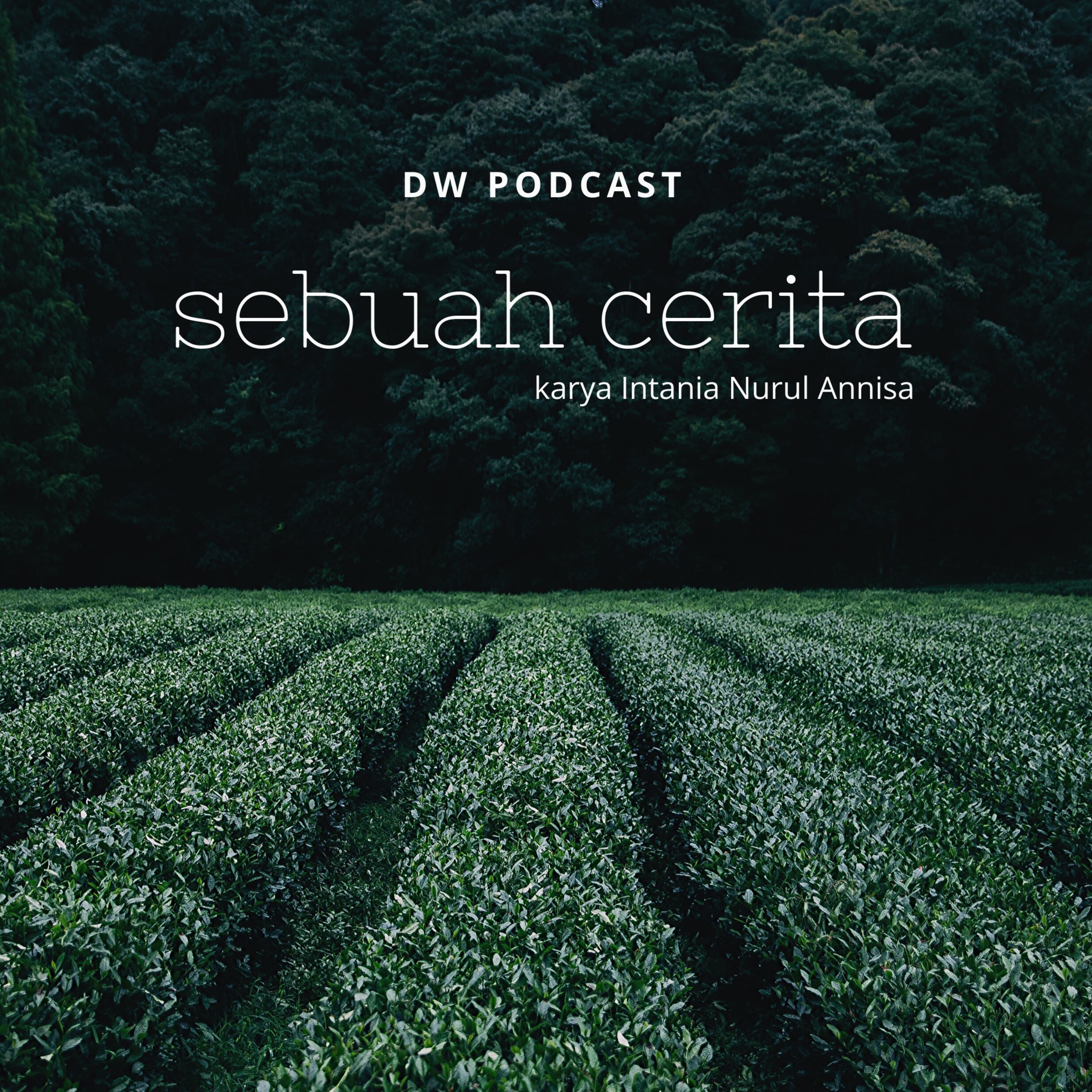 DW Podcast