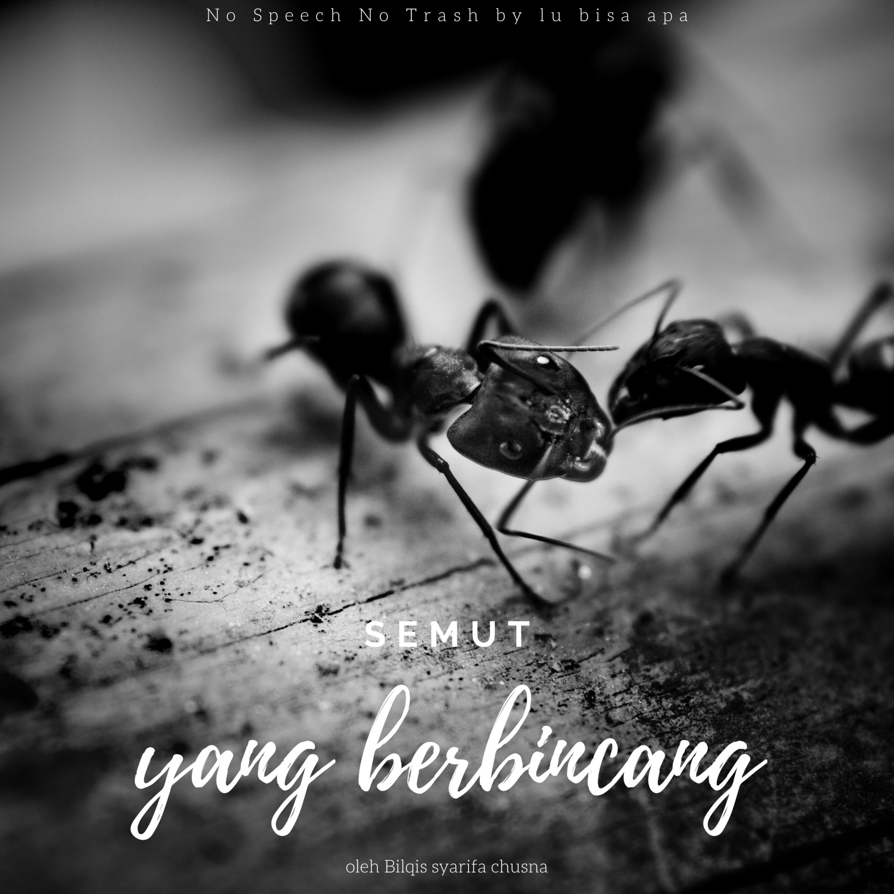 Lu Bisa Apa