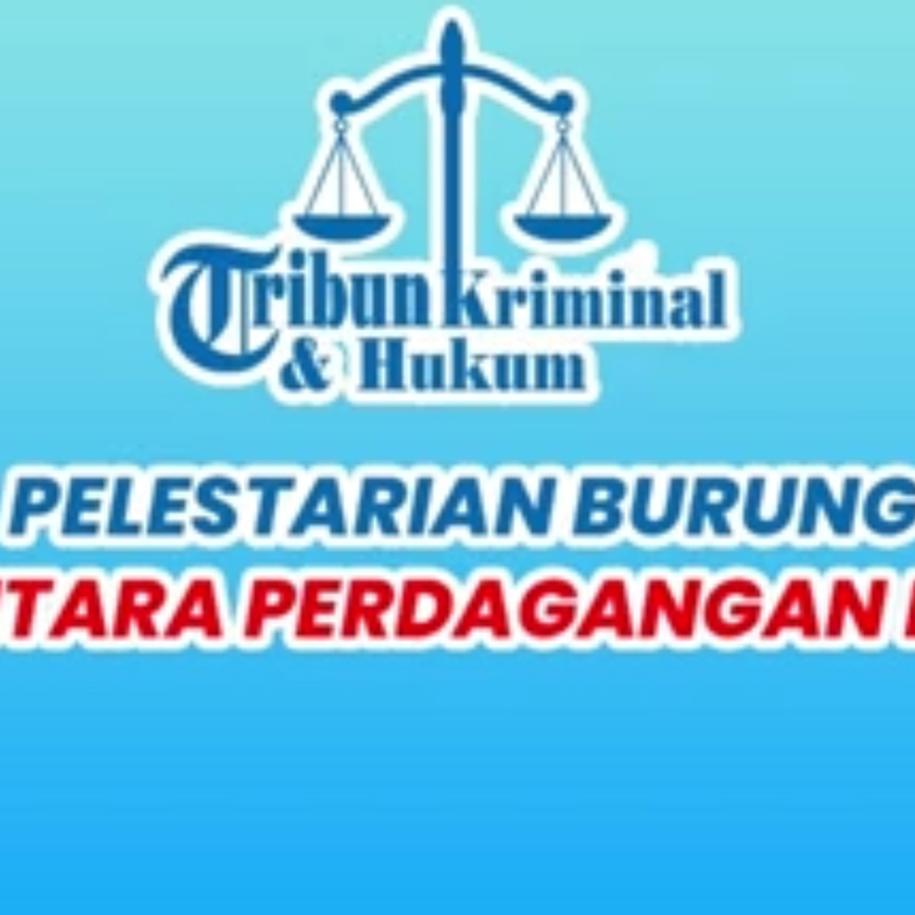 Tribun Lampung