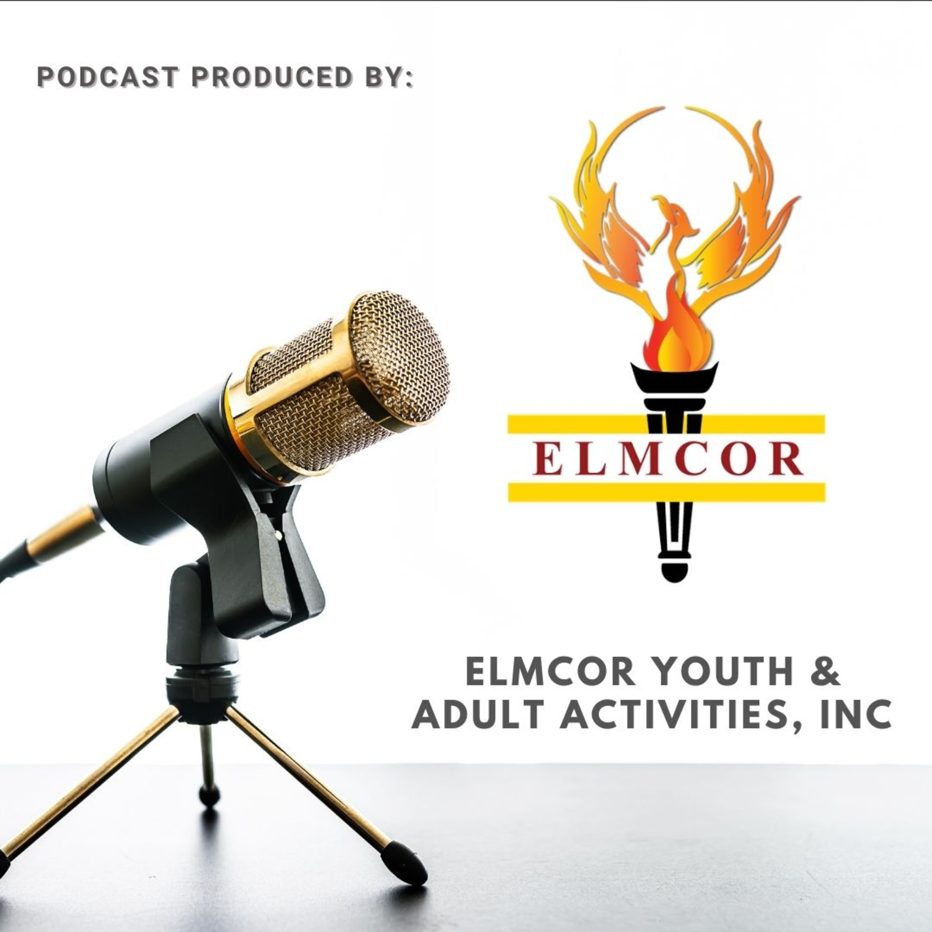 Elmcor's Podcast, Episode 1: Freedom Summer 2020.