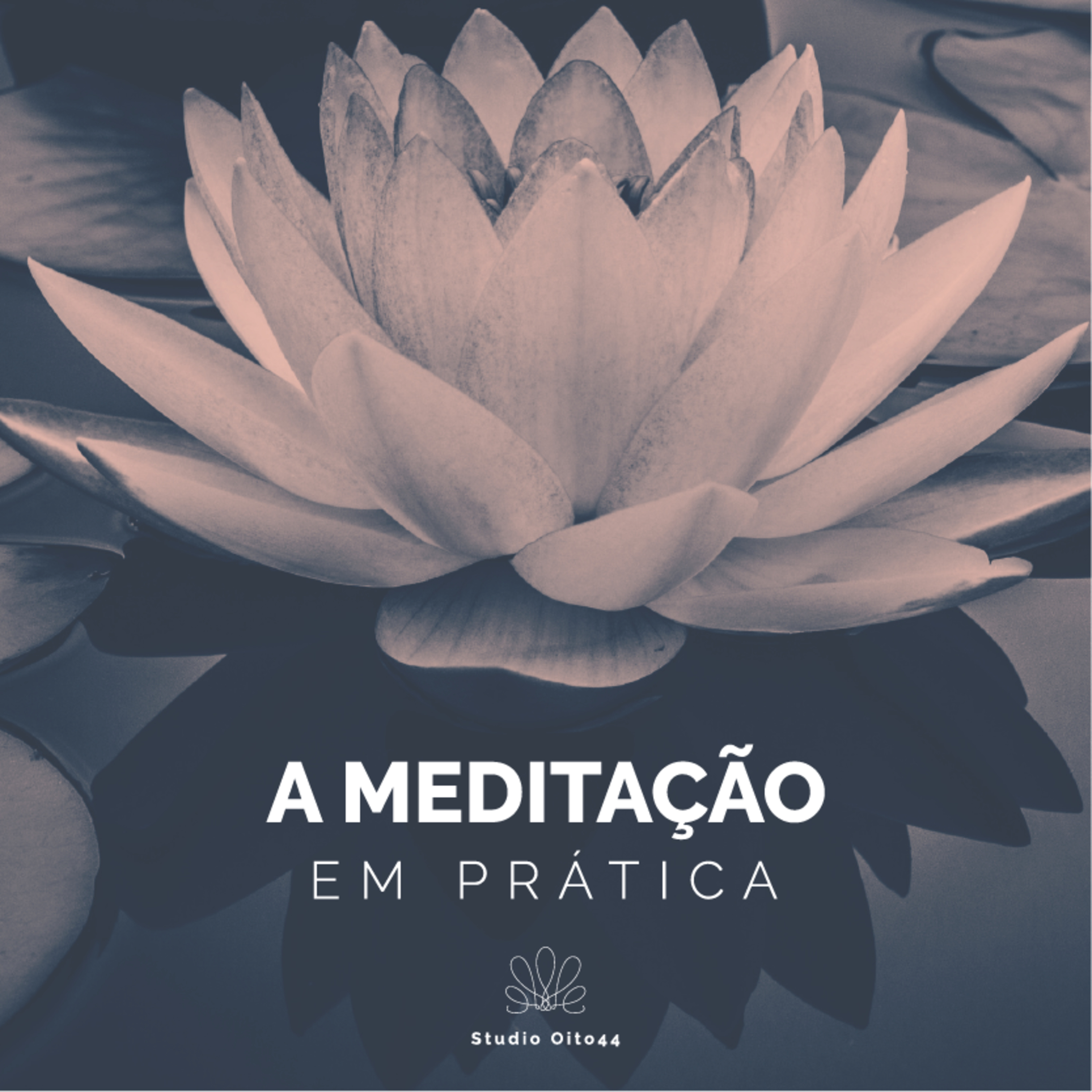 #01 - A Meditação Em Prática