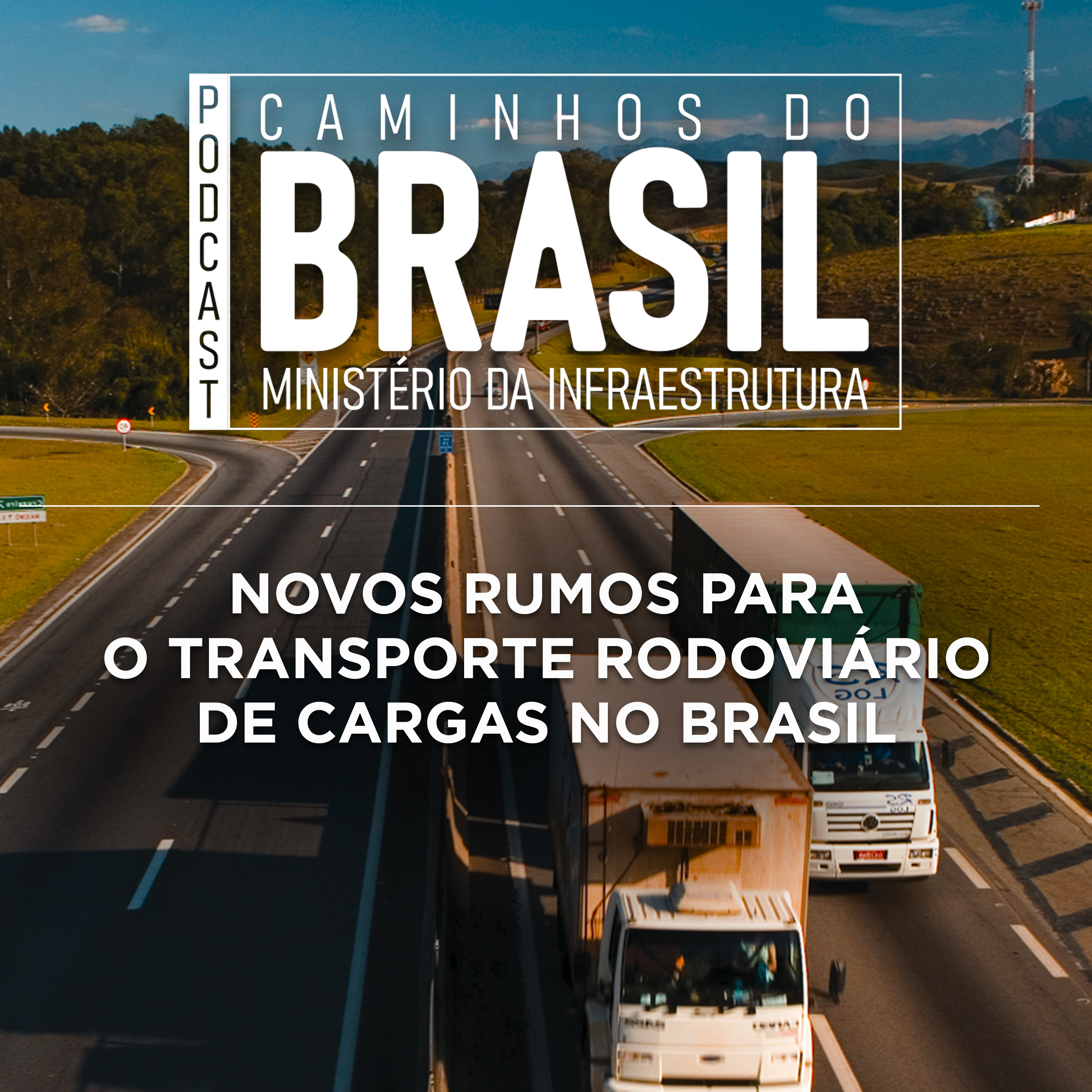 Novos rumos para o transporte de cargas no Brasil