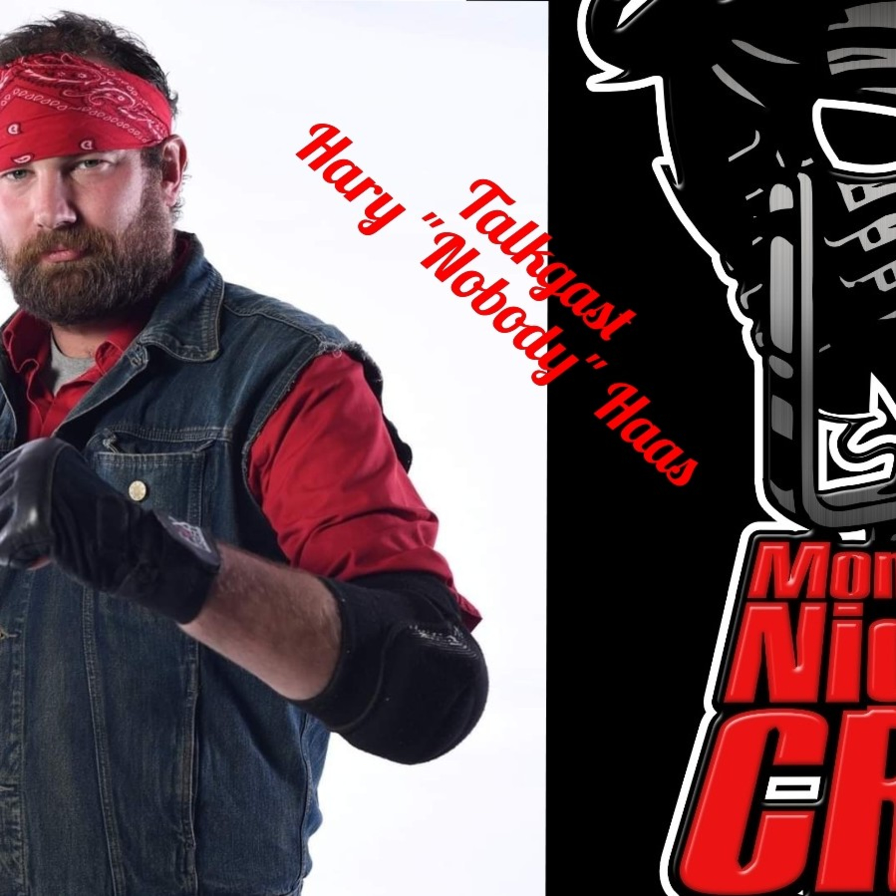 WFD - Wrestling Fans Domination