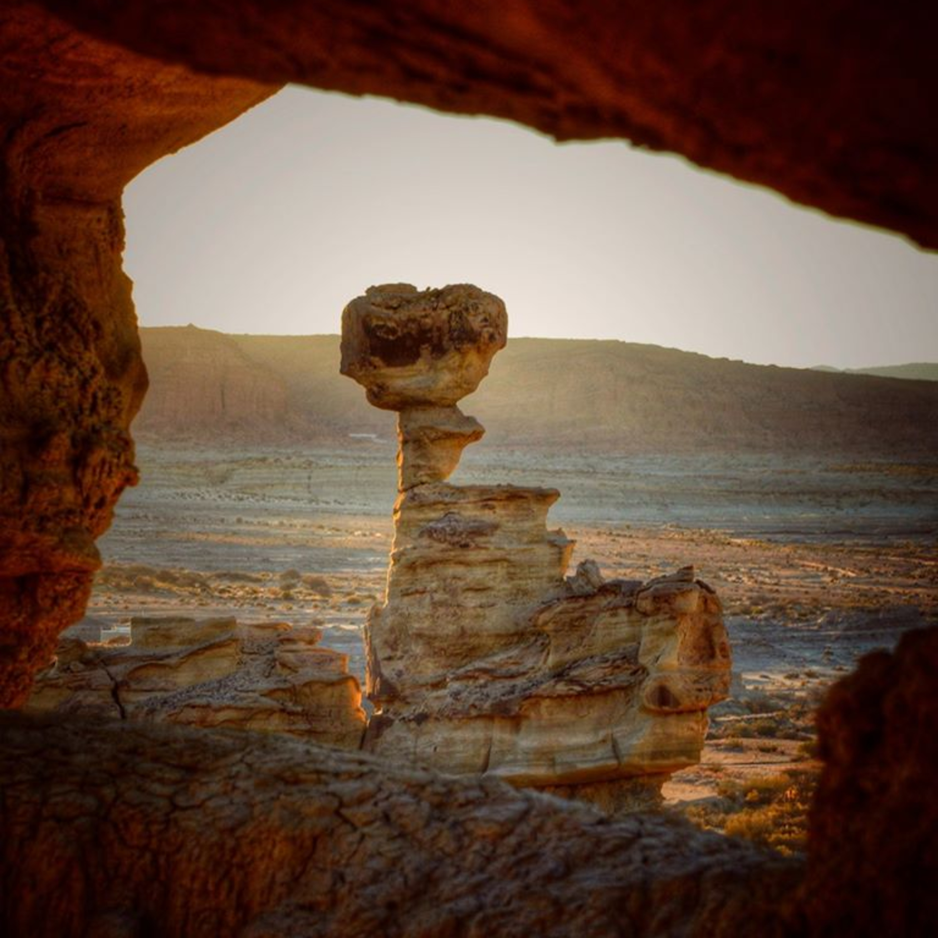 PARQUE PCIAL. ISCHIGUALASTO: NUEVOS RECORRIDOS POST-CUARENTENA episode artwork