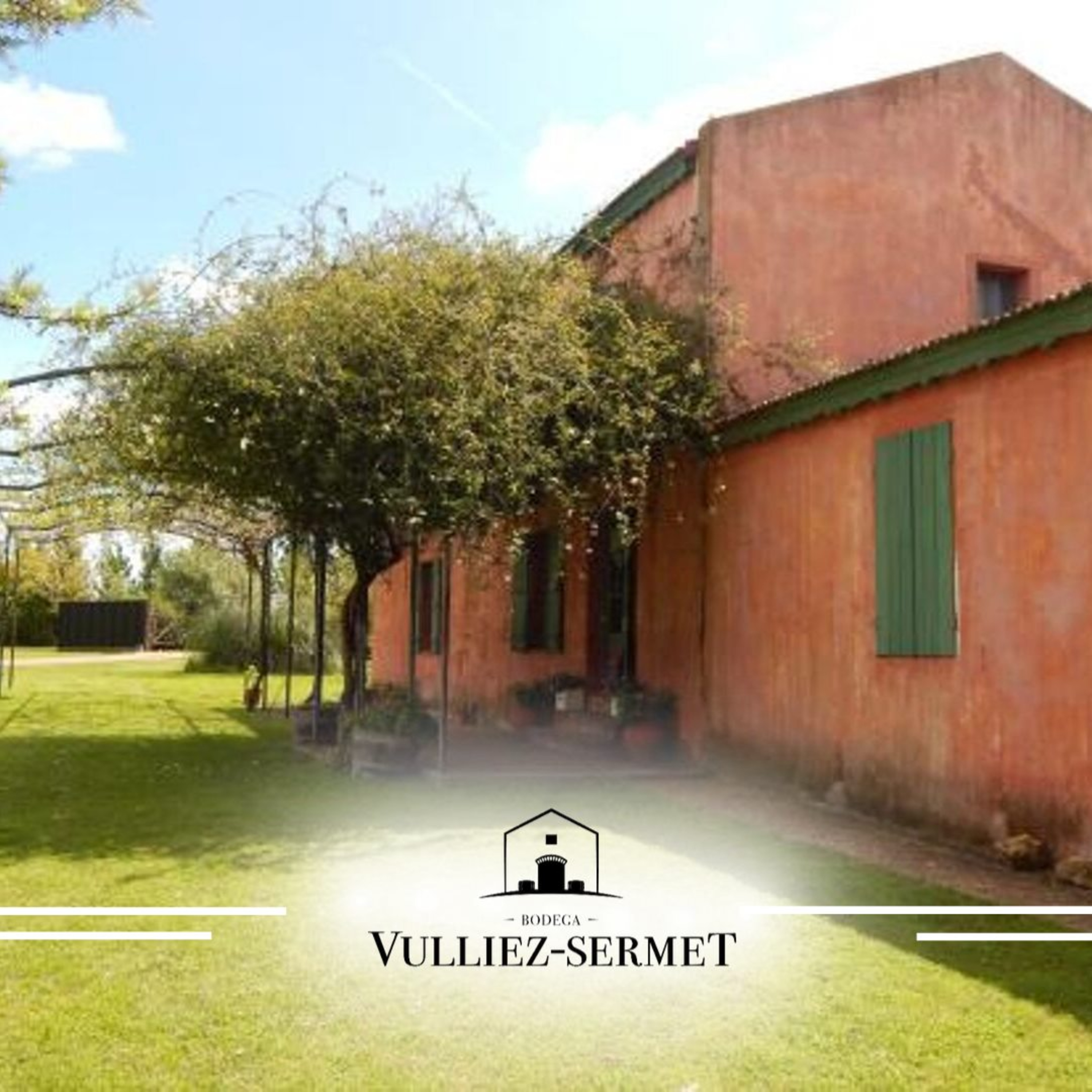 Vinos entrerrianos: Bodega Bulliez-Semet - San José - Entre Ríos - Argentina episode artwork