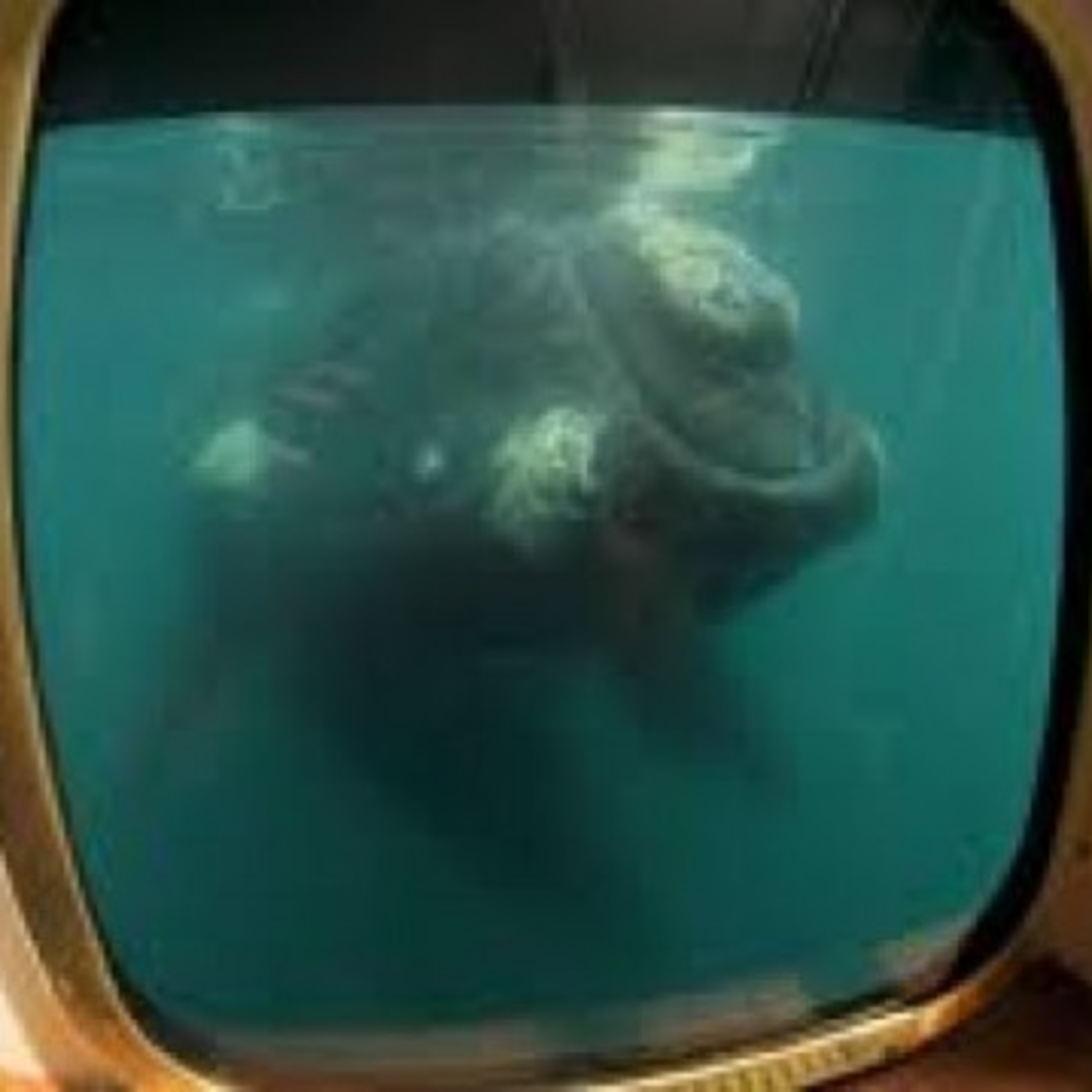 Todas las opciones para ver las ballenas en Puerto Madryn - Chubut - Patagonia - Argentina episode artwork