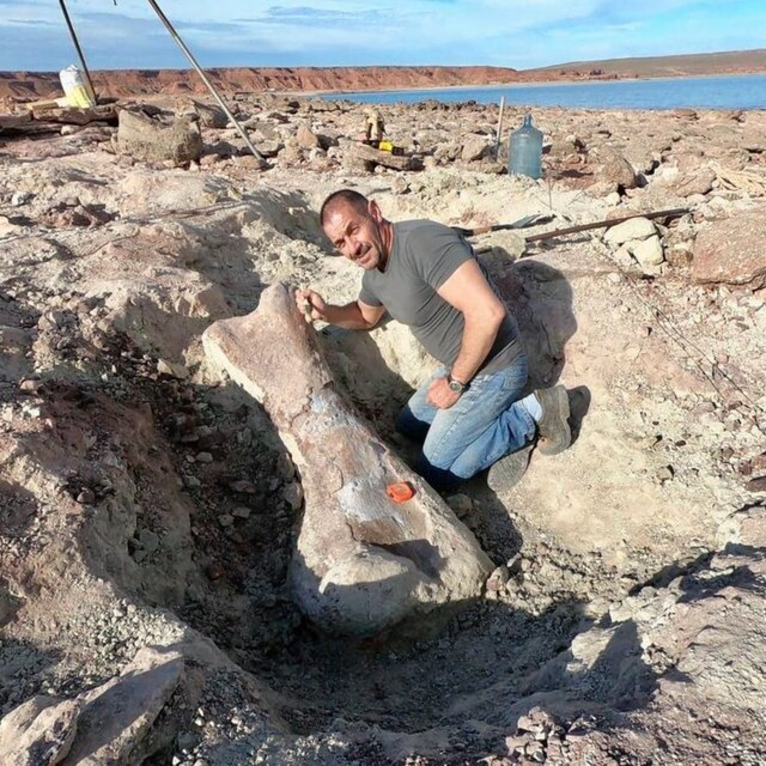 Proyecto Dino del Centro Paleontológico Lago Barreales - Neuquén - Argentina episode artwork