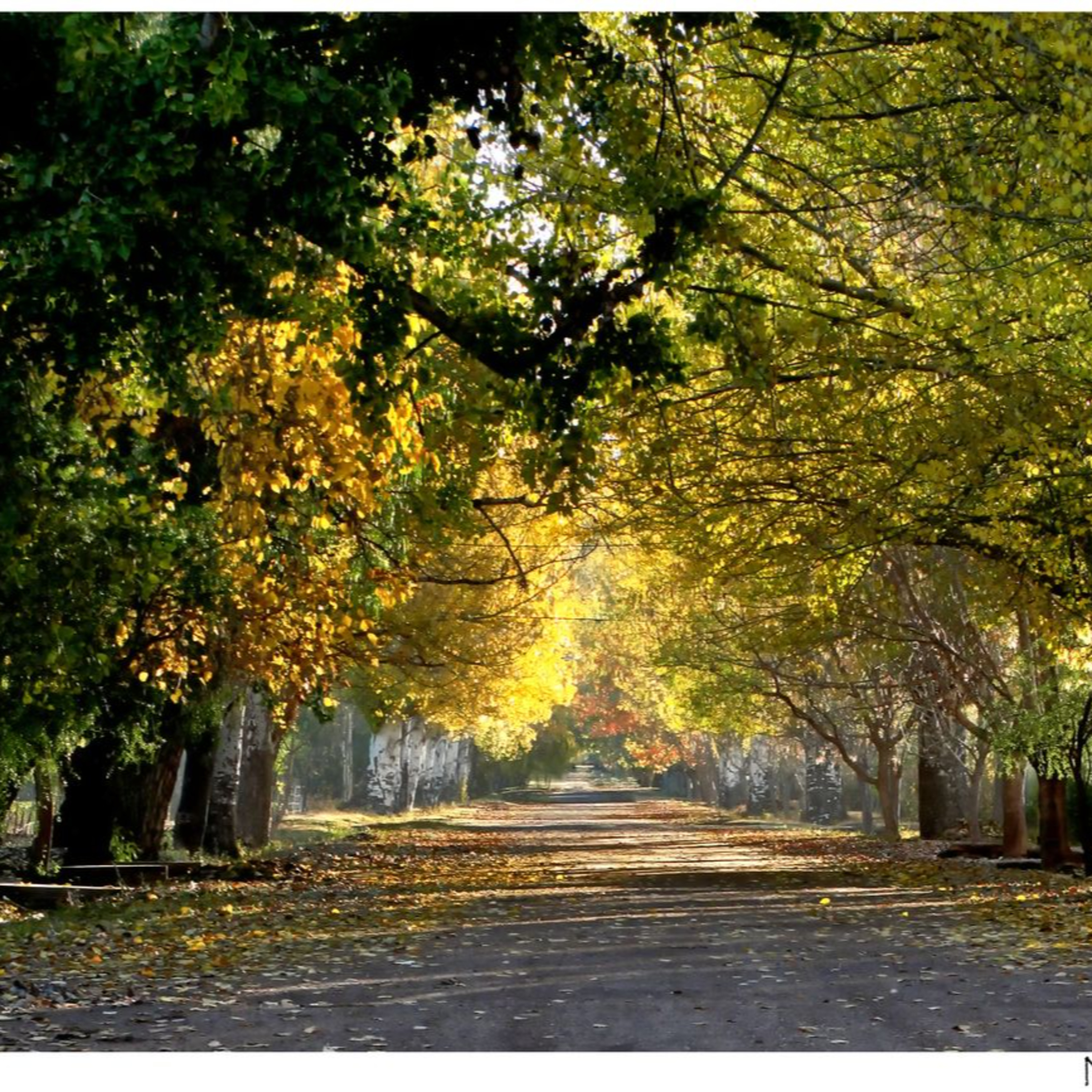 Villa 25 de Mayo: un paseo por la historia - Mendoza - Argentina episode artwork