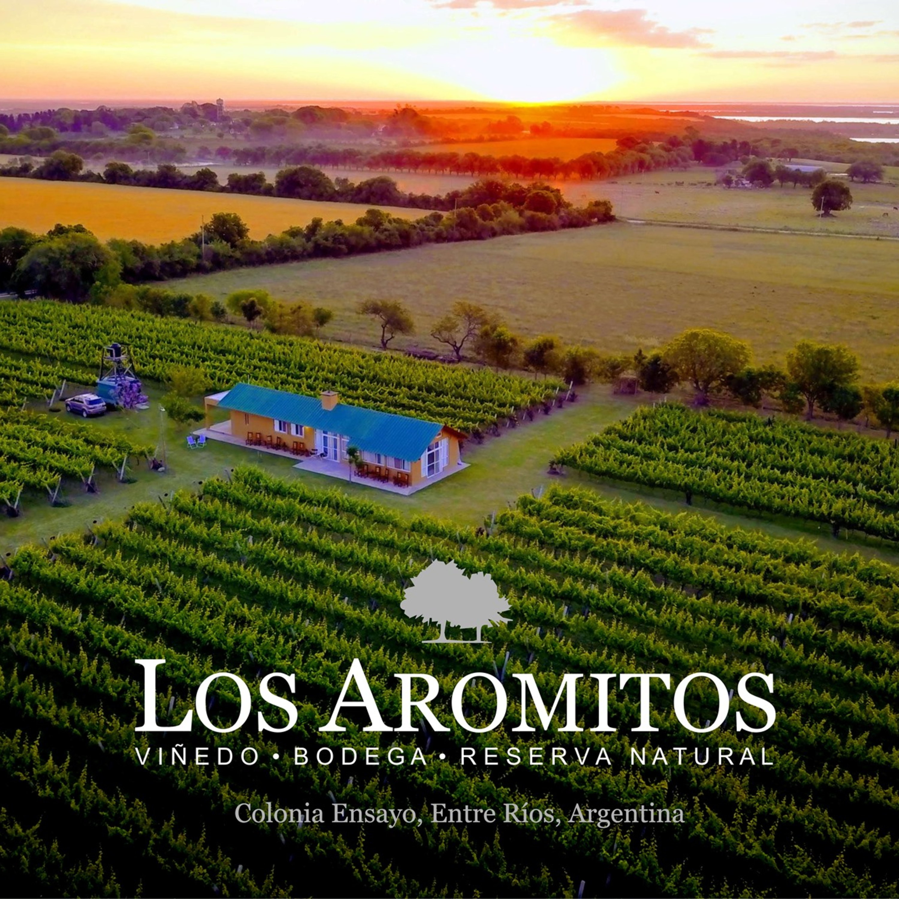 Bodega Los Aromitos: una tradición que se renueva - Entre Rios - Argentina episode artwork