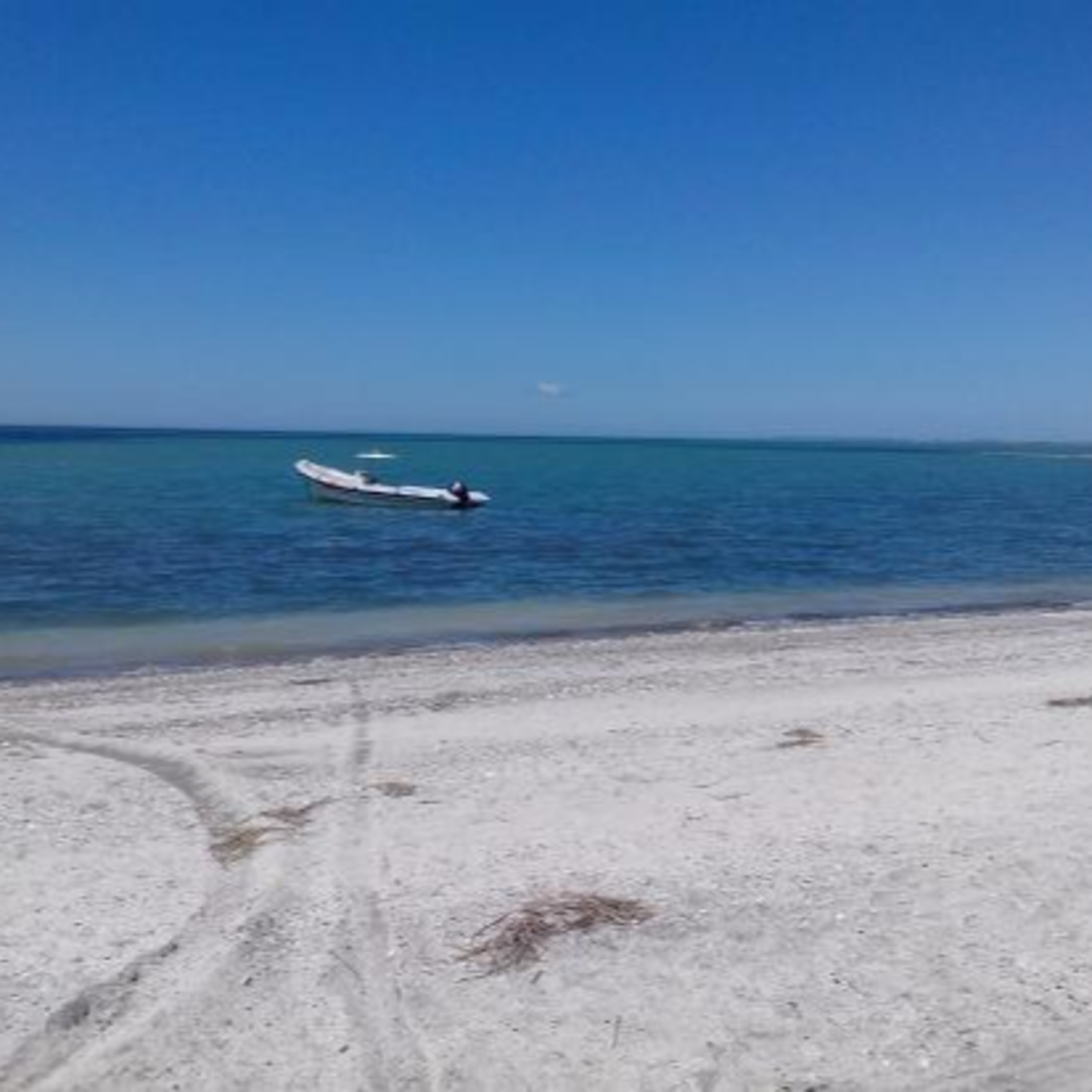 Bahía de San Blas y Los Pocitos: pequeños paraísos de la Costa Atlántica - Buenos Aires - Argentina episode artwork