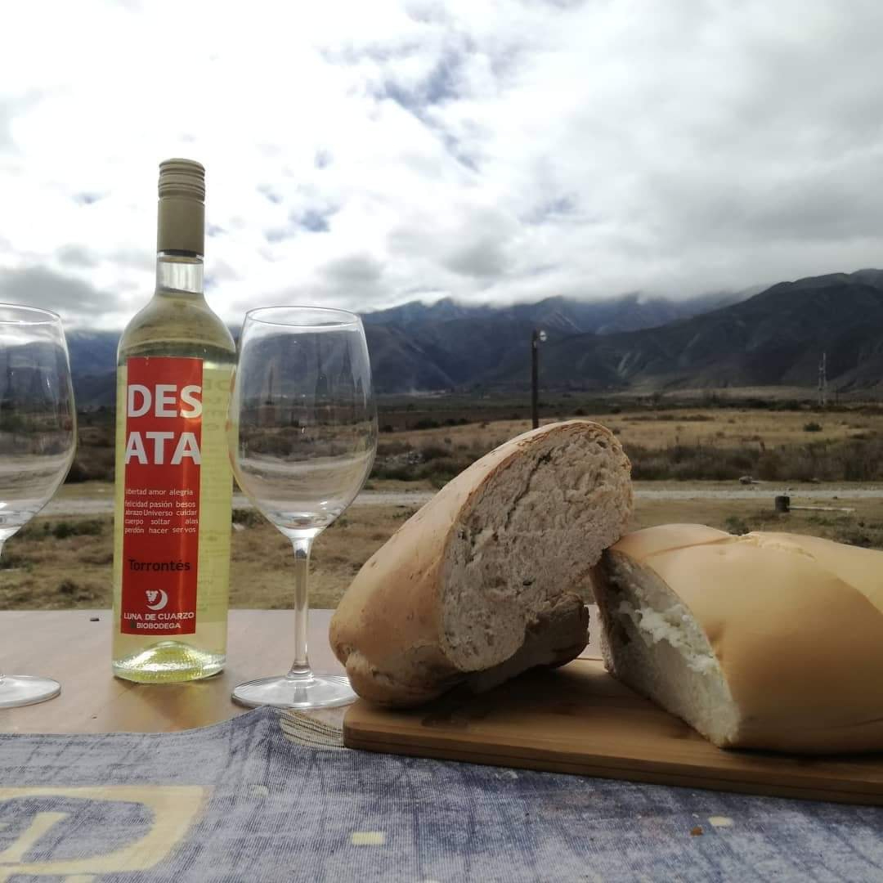 Vinos tucumanos: Biobodega Luna de Cuarzo - Colalao del Valle - Tucumán - Argentina episode artwork