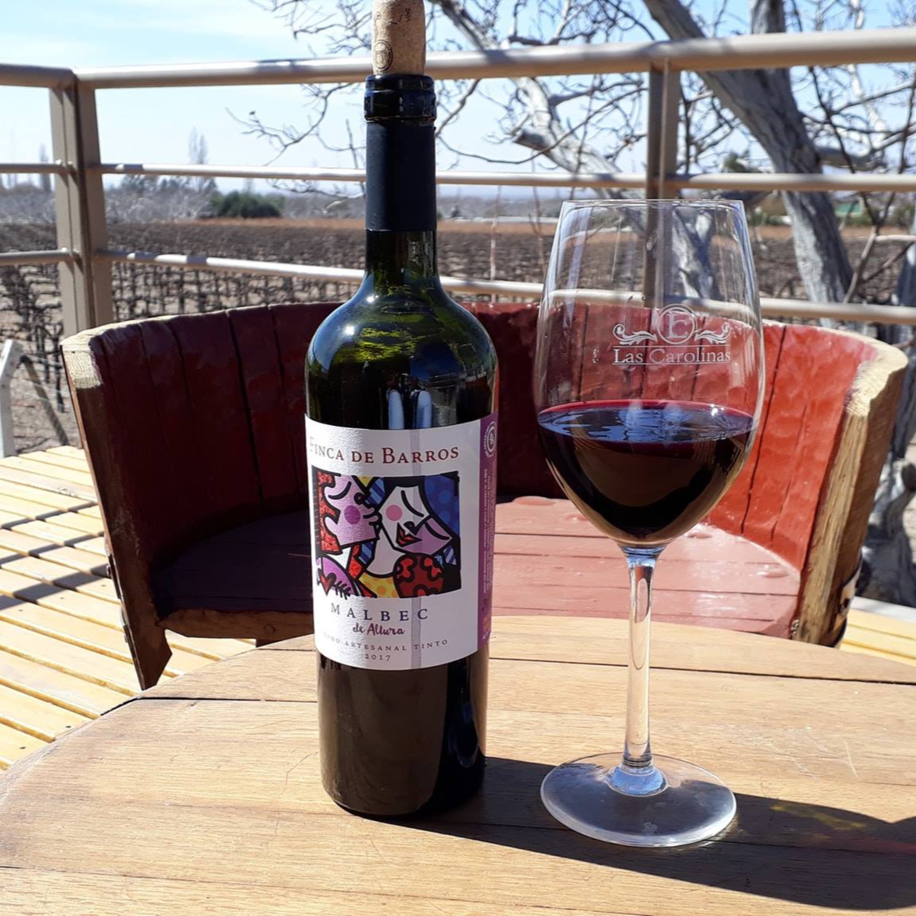 Vinos riojanos: Bodega Las Carolinas - Anillaco - La Rioja - Argentina episode artwork