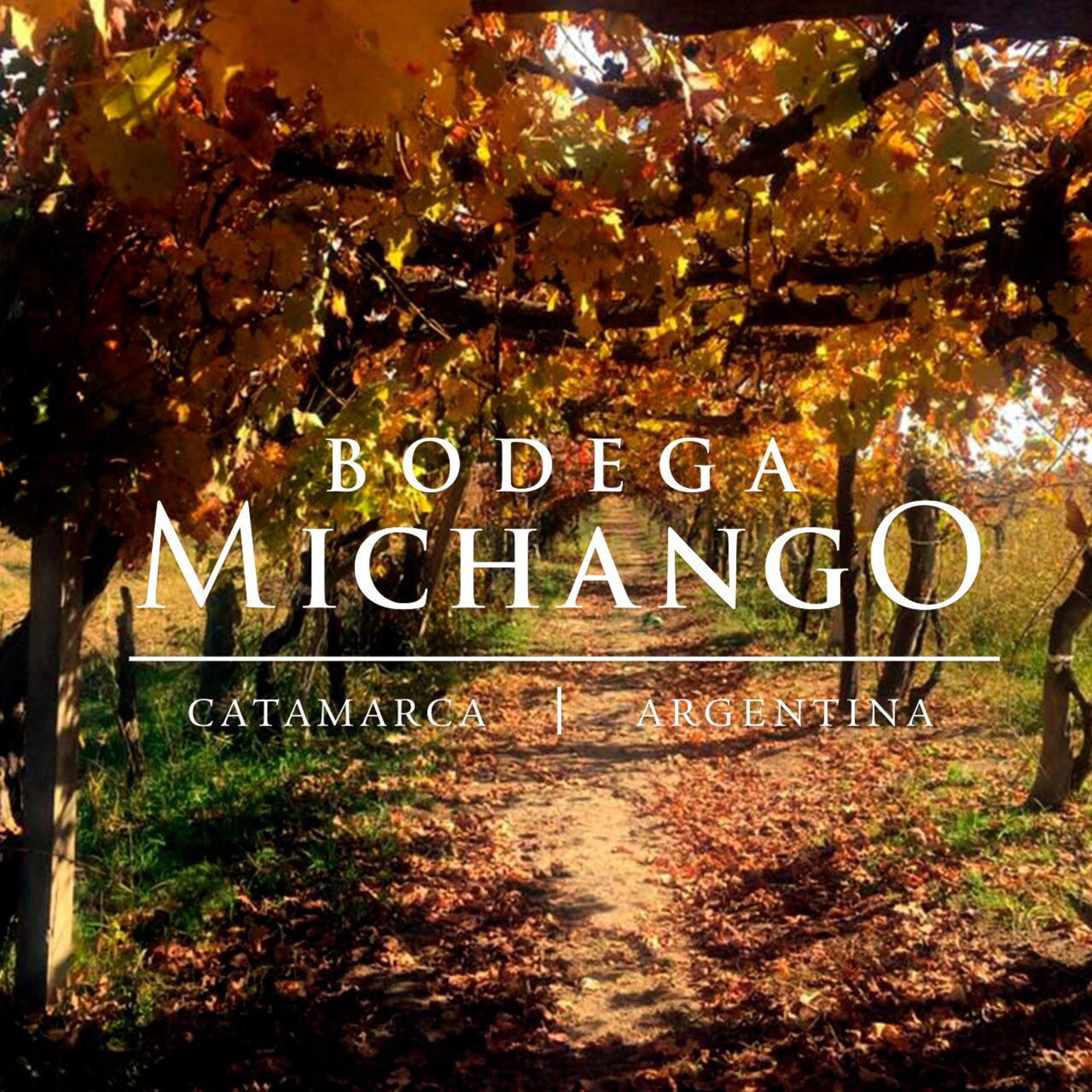 Vinos catamarqueños: Bodega Michango - Argentina episode artwork