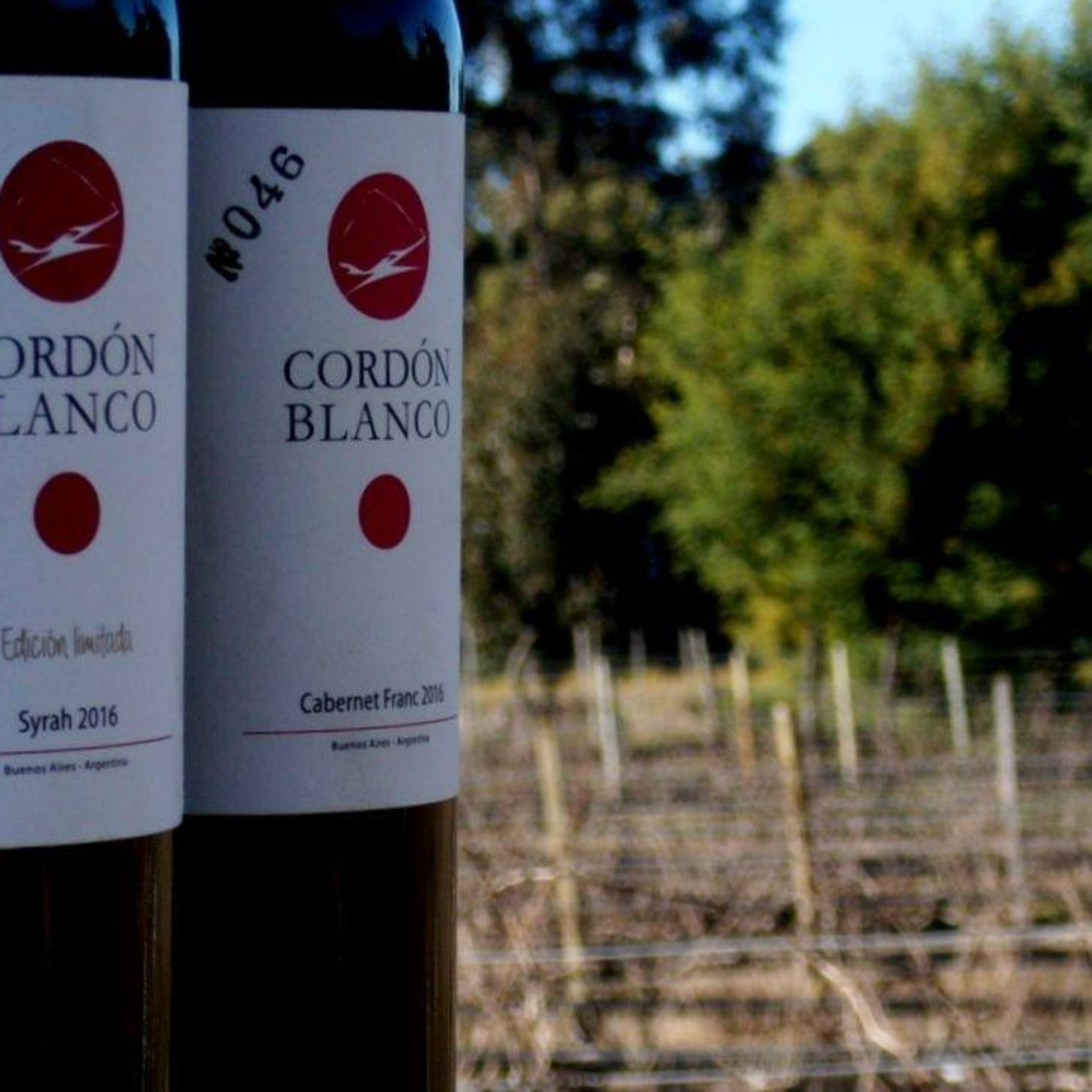 Vinos bonaerenses: Bodega Cordón Blanco - Tandil - Argentina episode artwork