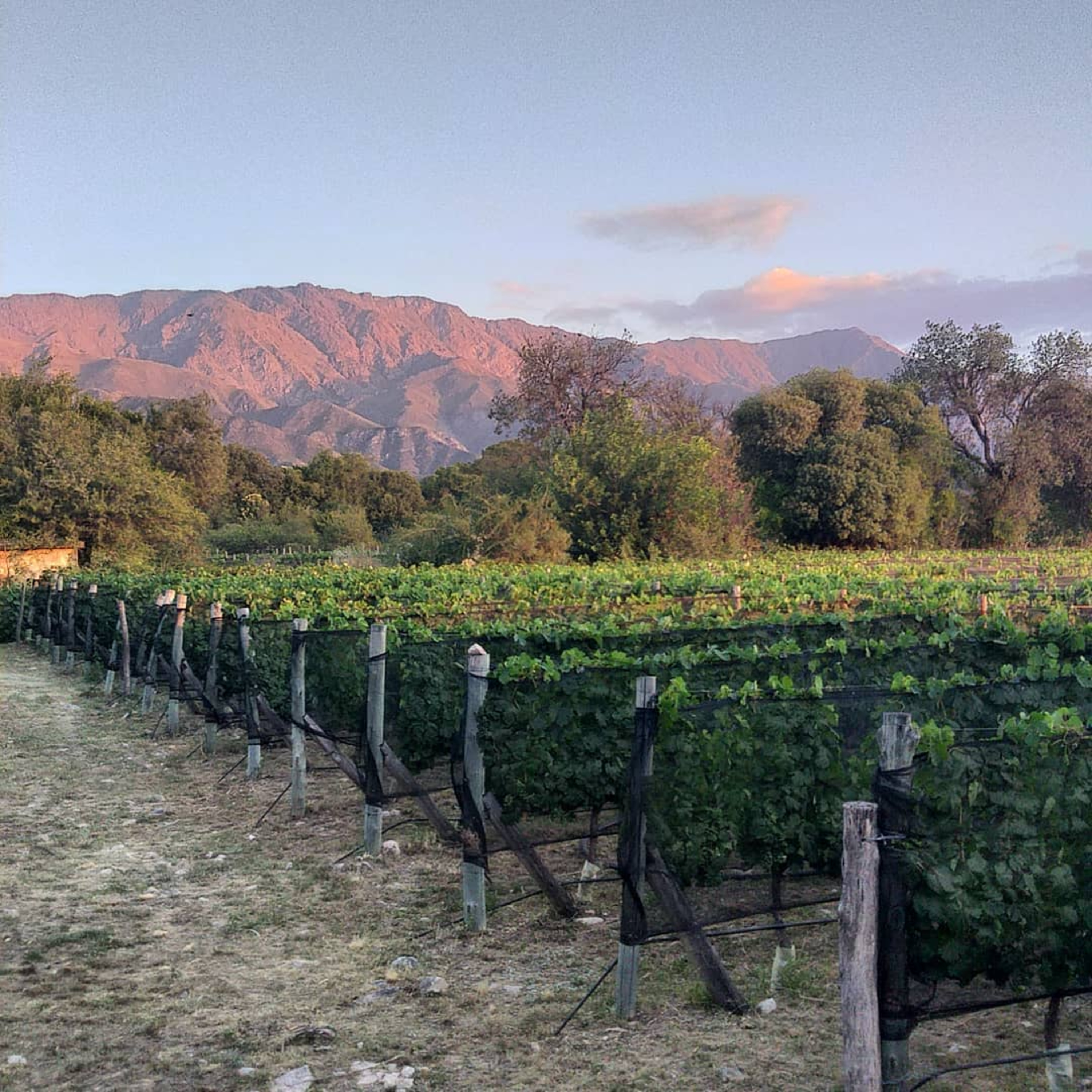 Vinos Cordobeses - Traslasierra  episode artwork