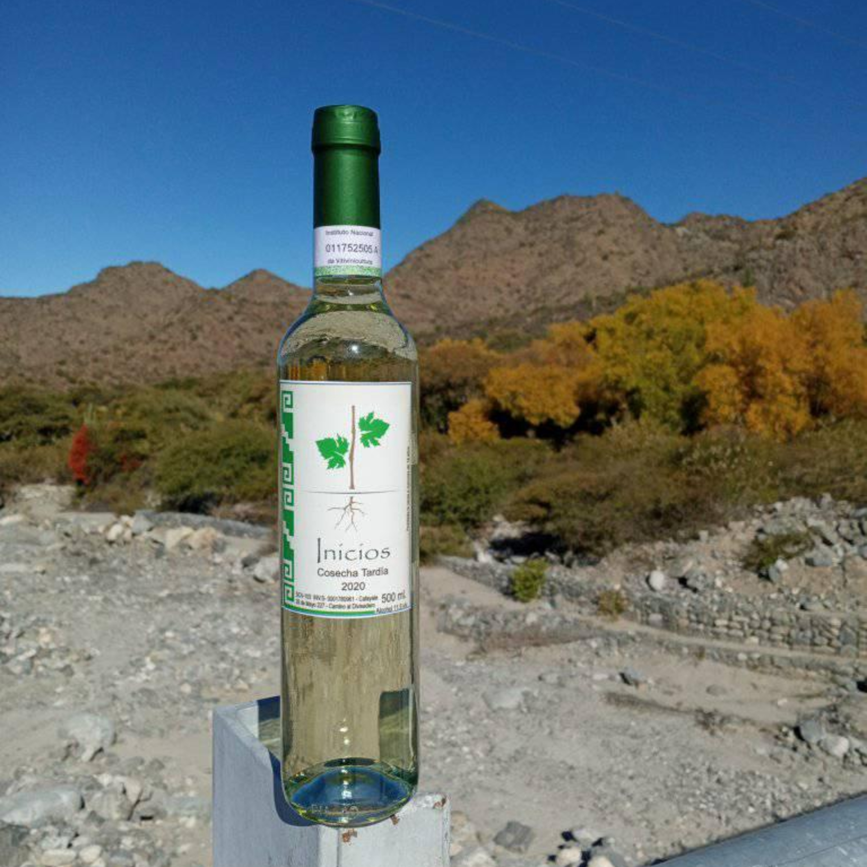 Vinos salteños: Bodega Inicios - Cafayate - Salta - Argentina episode artwork