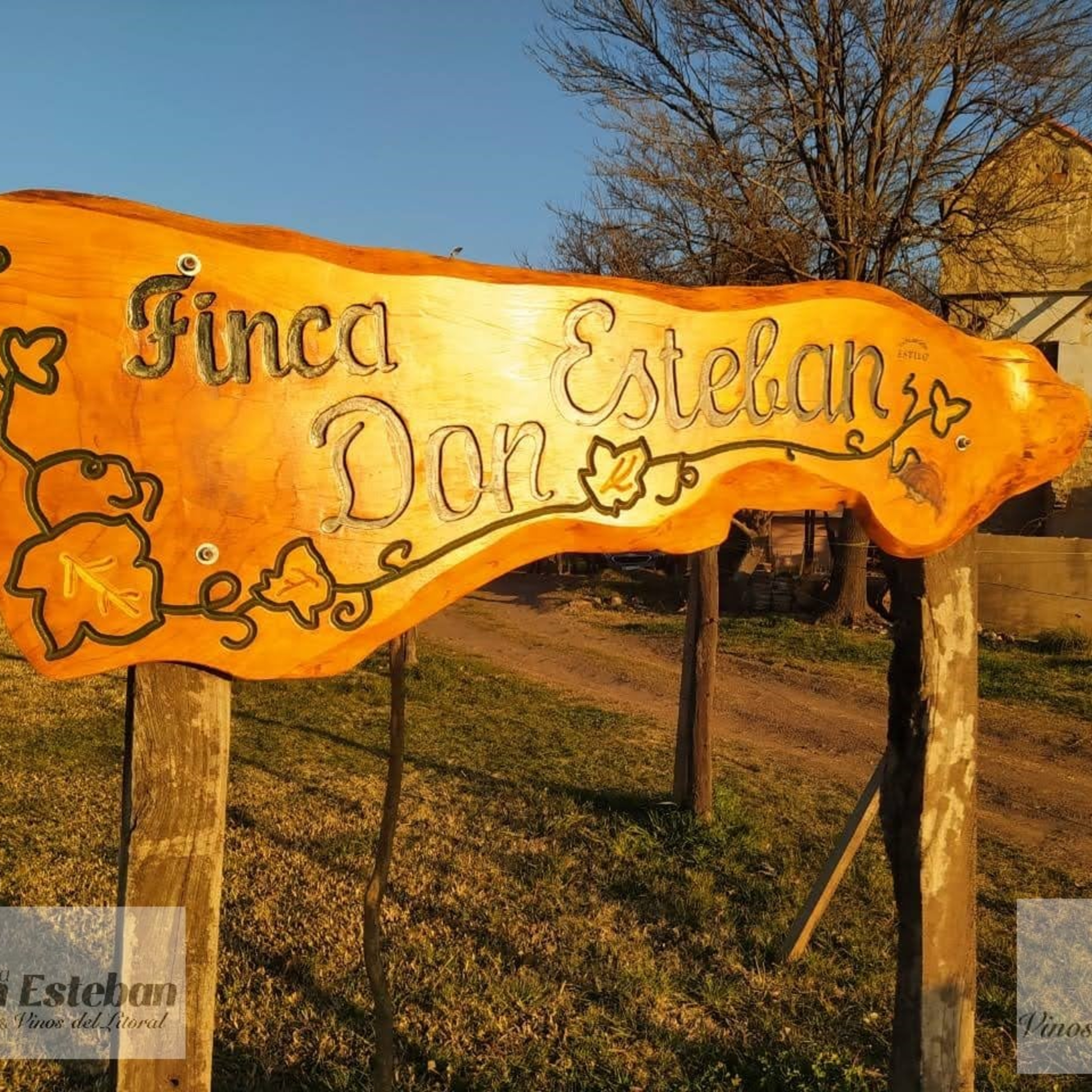 Vinos santafesinos: Finca Don Esteban - Soldini - Santa Fe - Argentina episode artwork