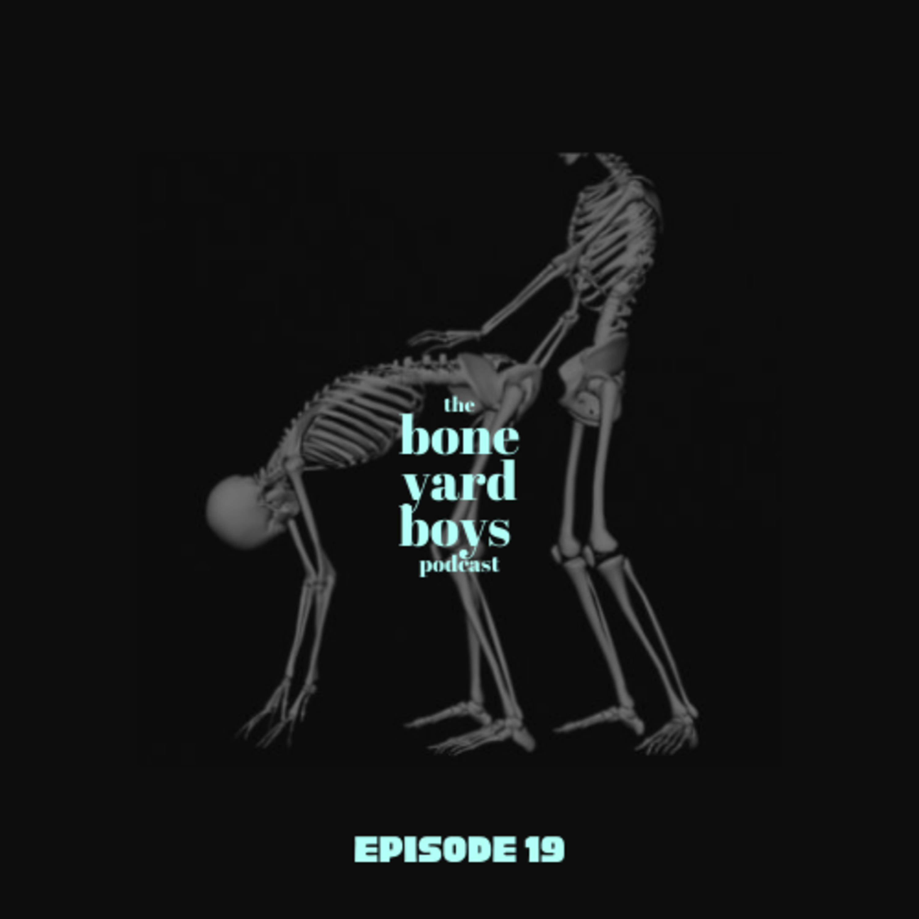Boneyard Boys Podcast Episode 19 | Wet It Up | WAP & Rapper Shootings  episode artwork