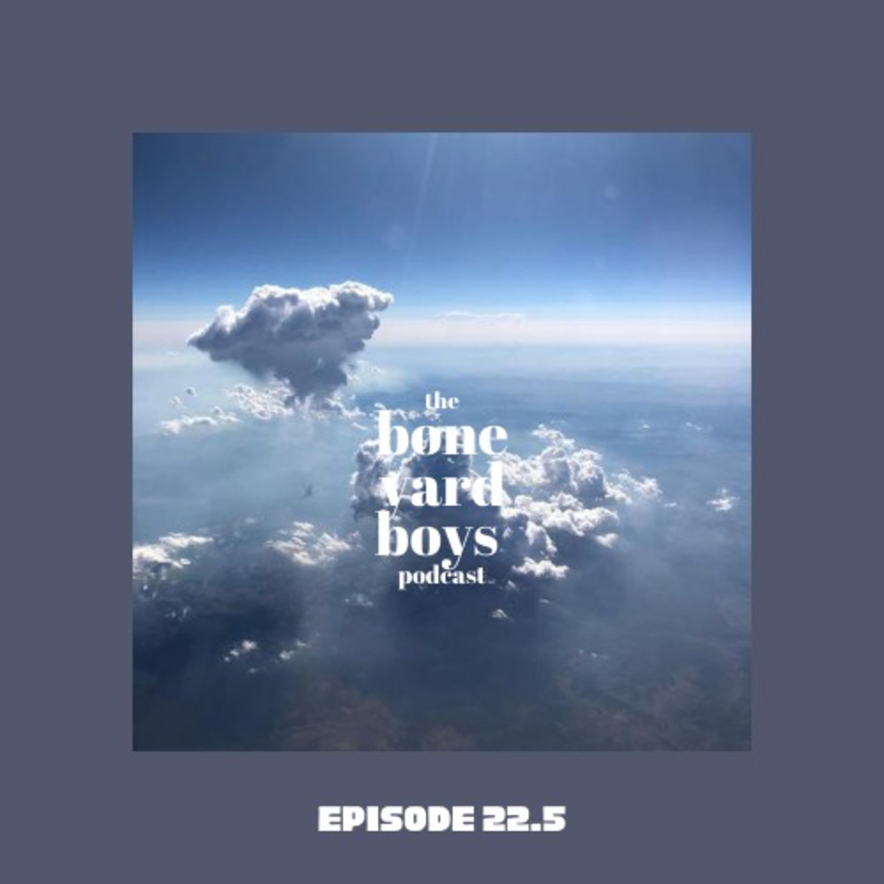 Boneyard Boys Podcast Episode 22.5 | Panther Pack episode artwork