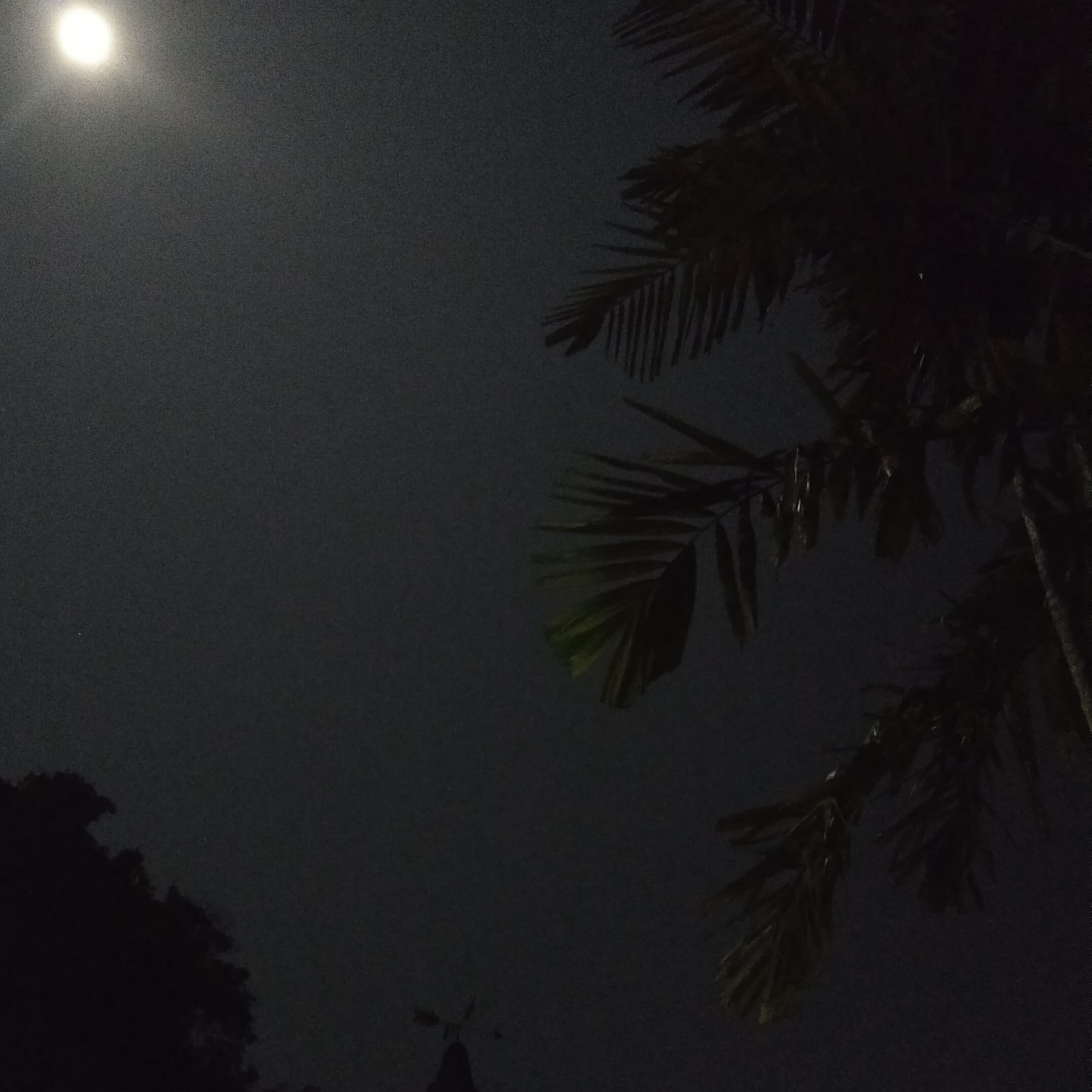 gkj kijahi sadrach karangyasa