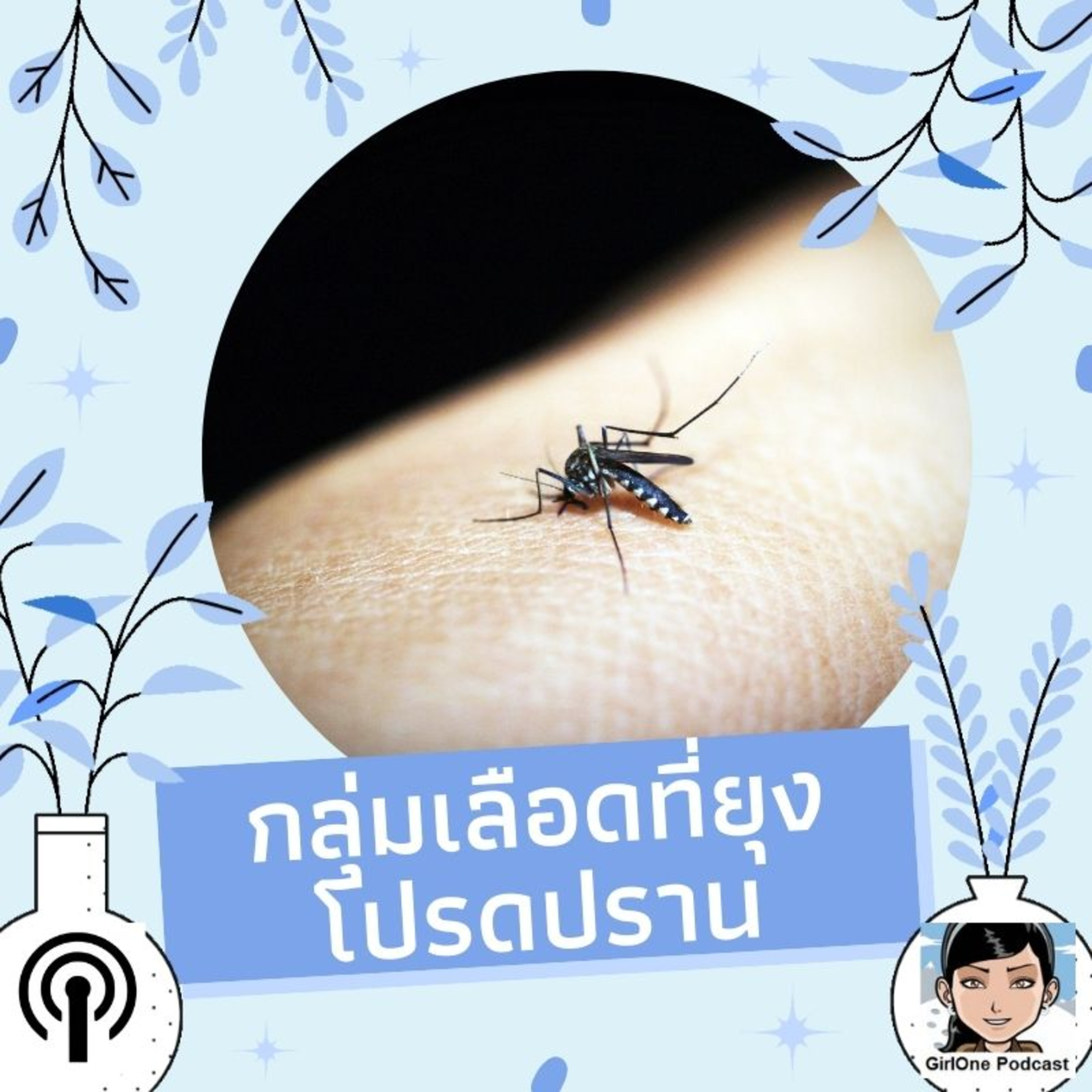 221:กลุ่มเลือดที่ยุงโปรดปราน