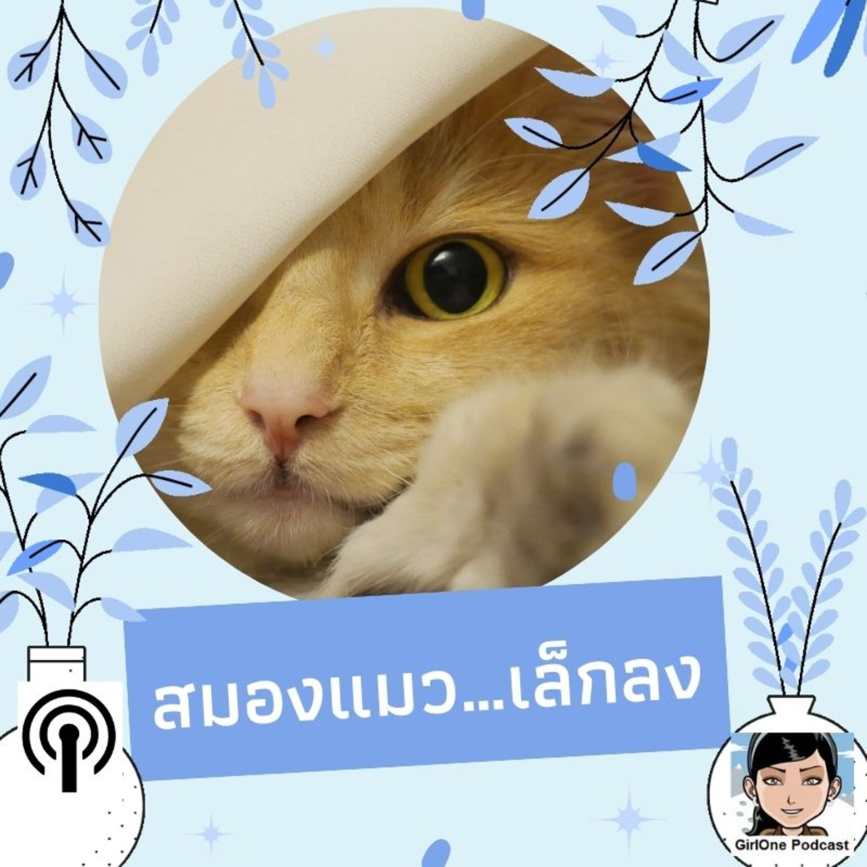 683:สมองแมว…เล็กลง episode artwork