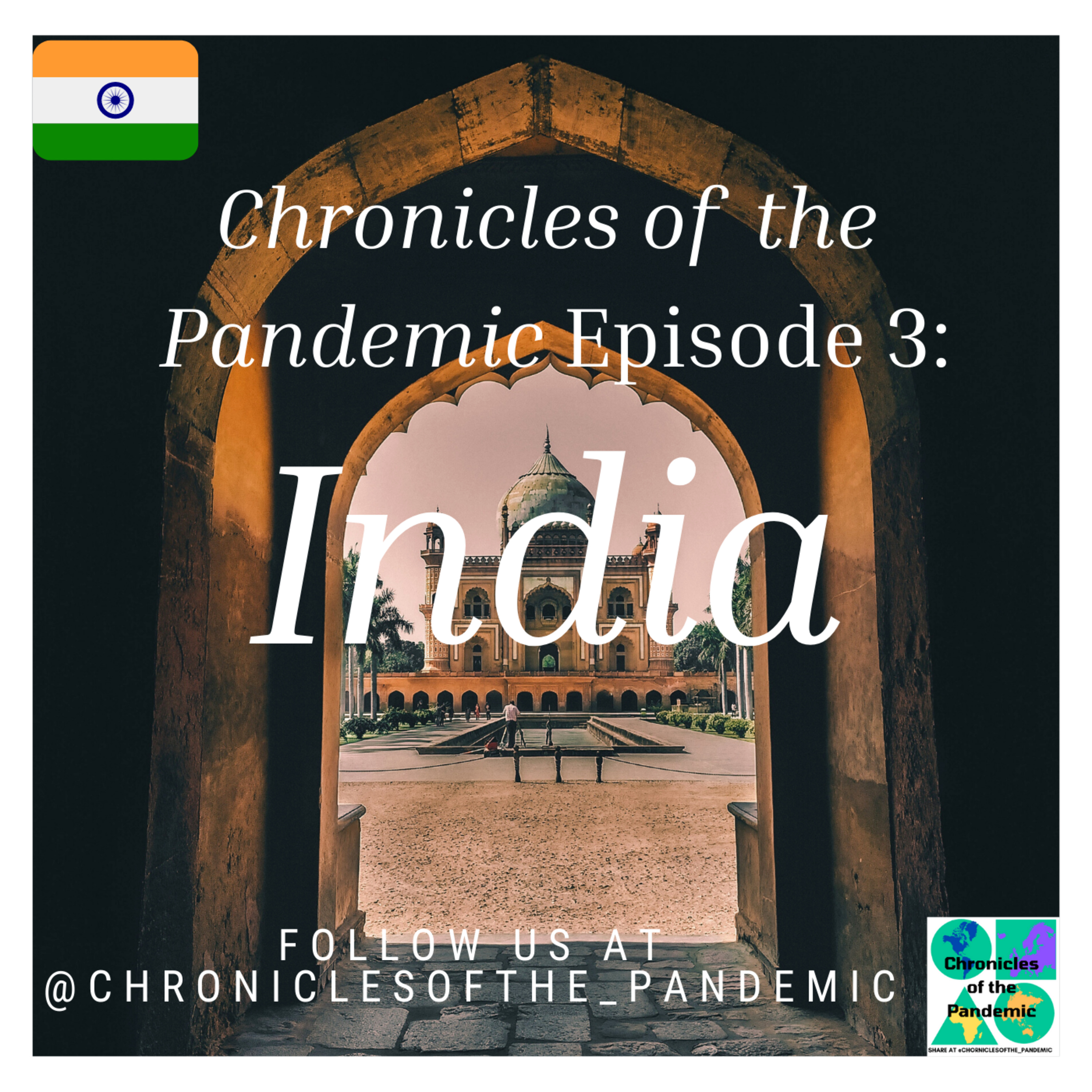 Chronicles of the Pandemic