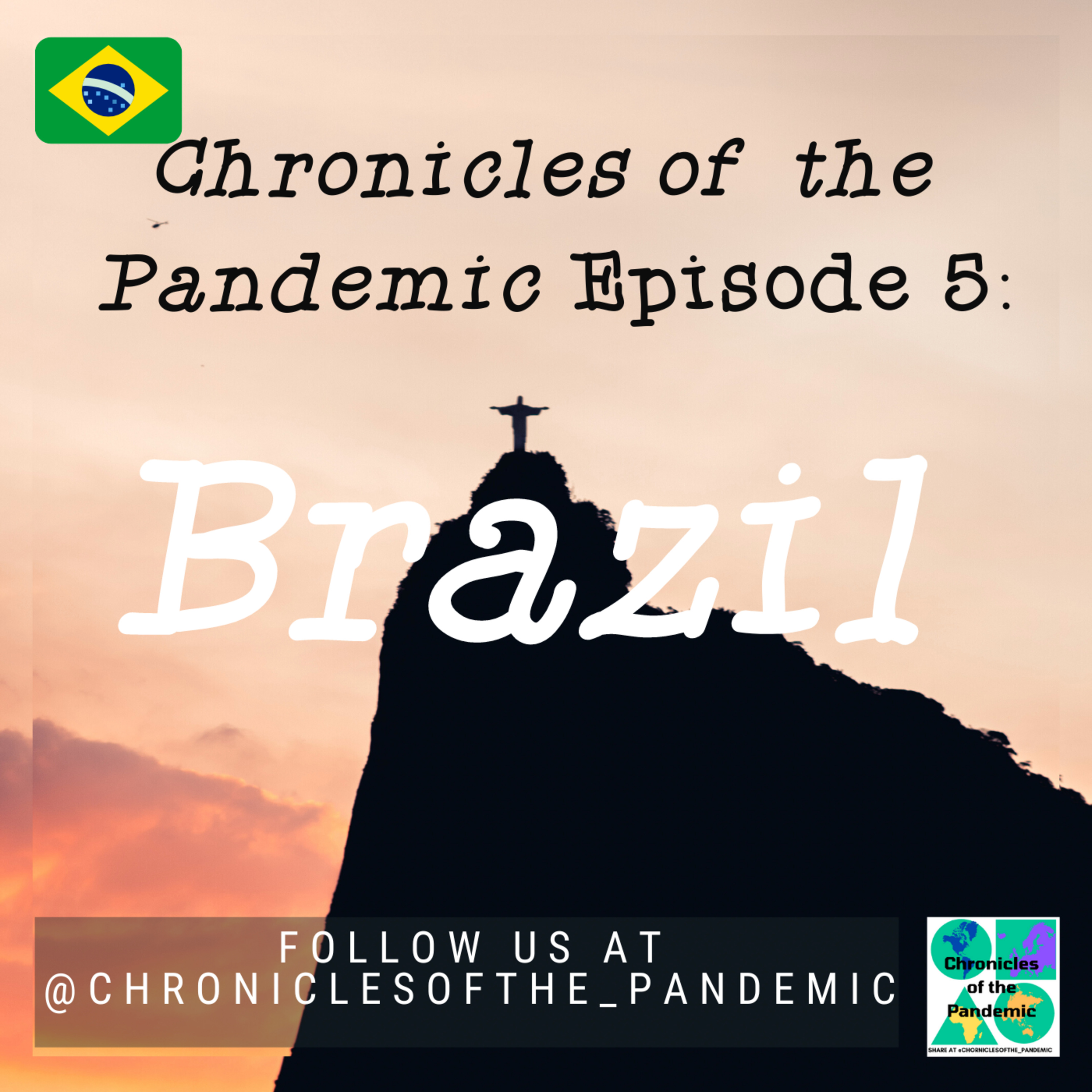 Chronicles of the Pandemic