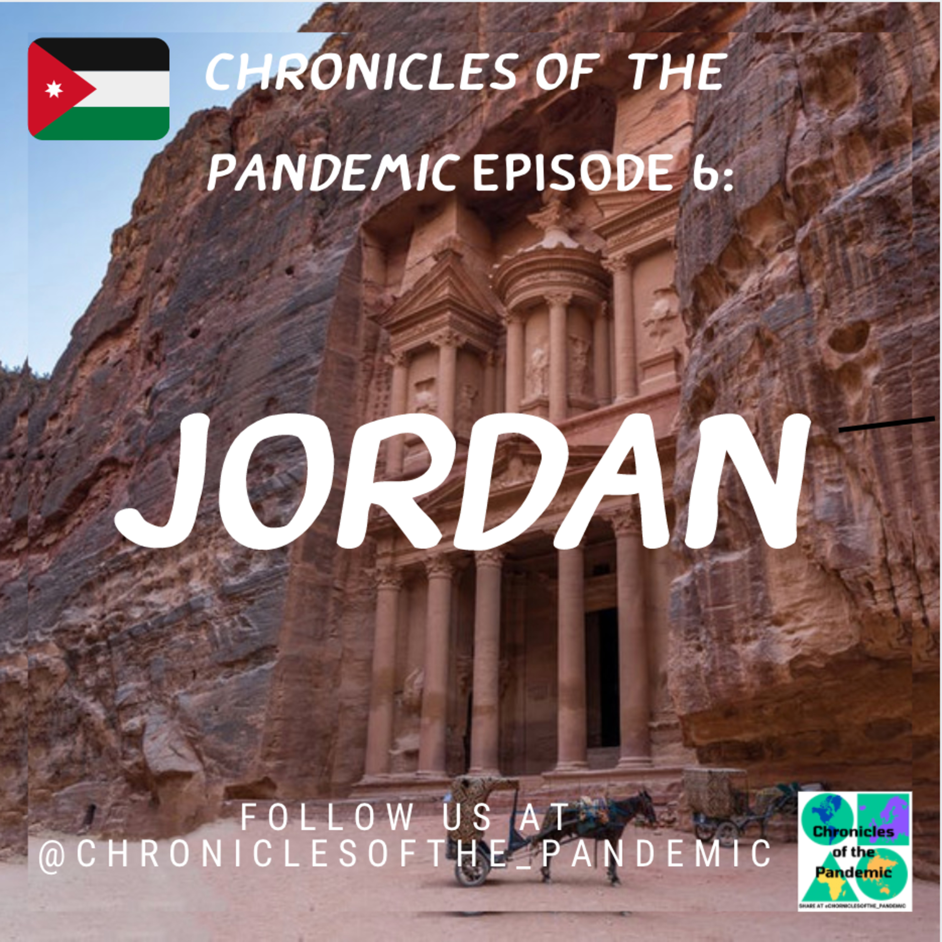 Chronicles of the Pandemic