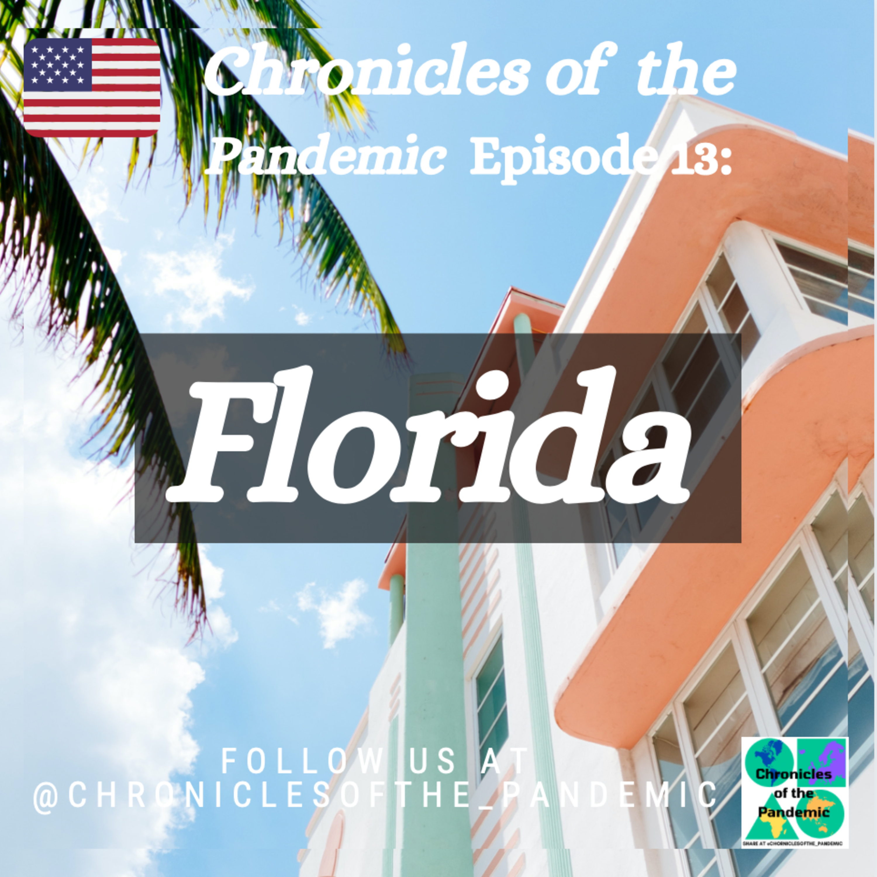 Chronicles of the Pandemic