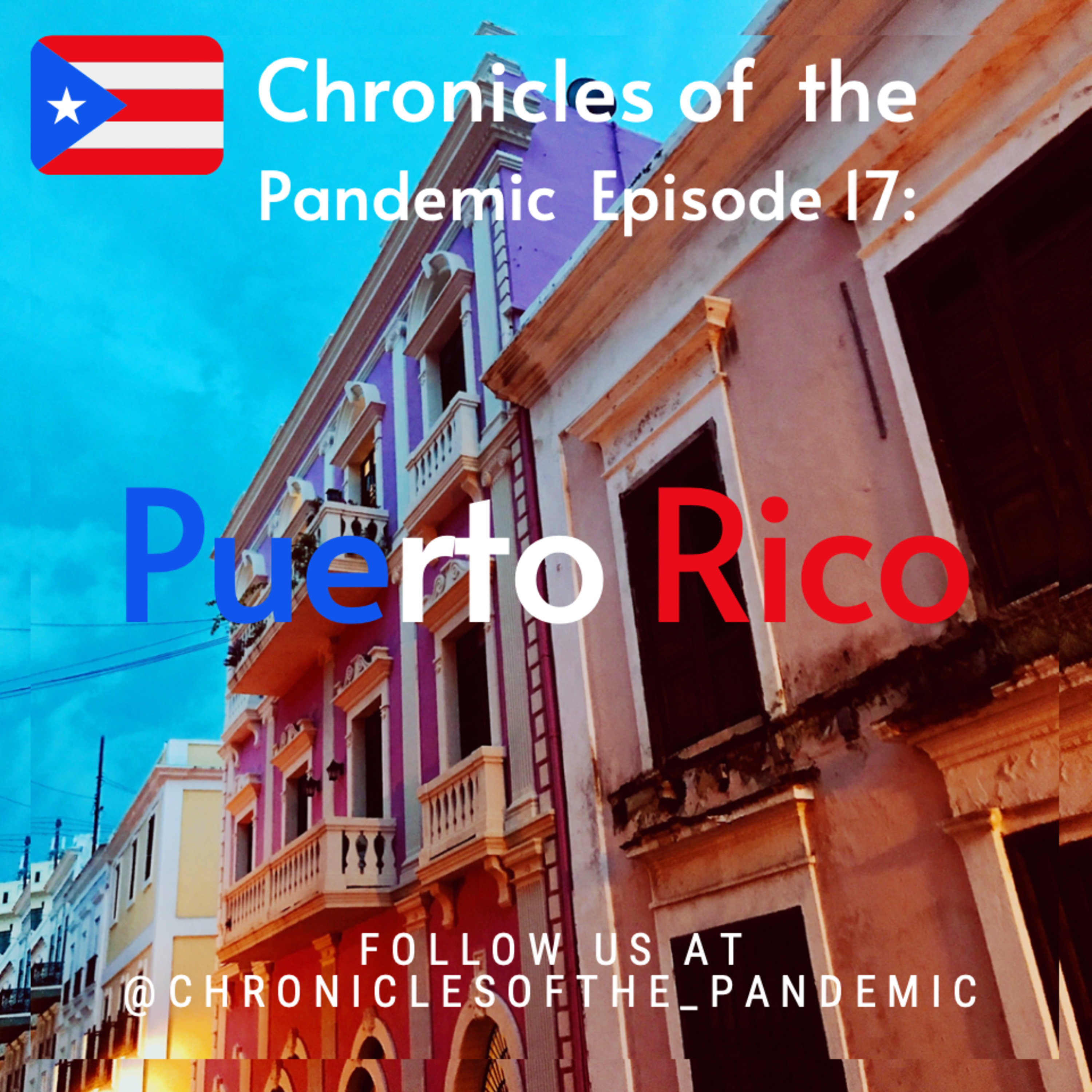 Chronicles of the Pandemic
