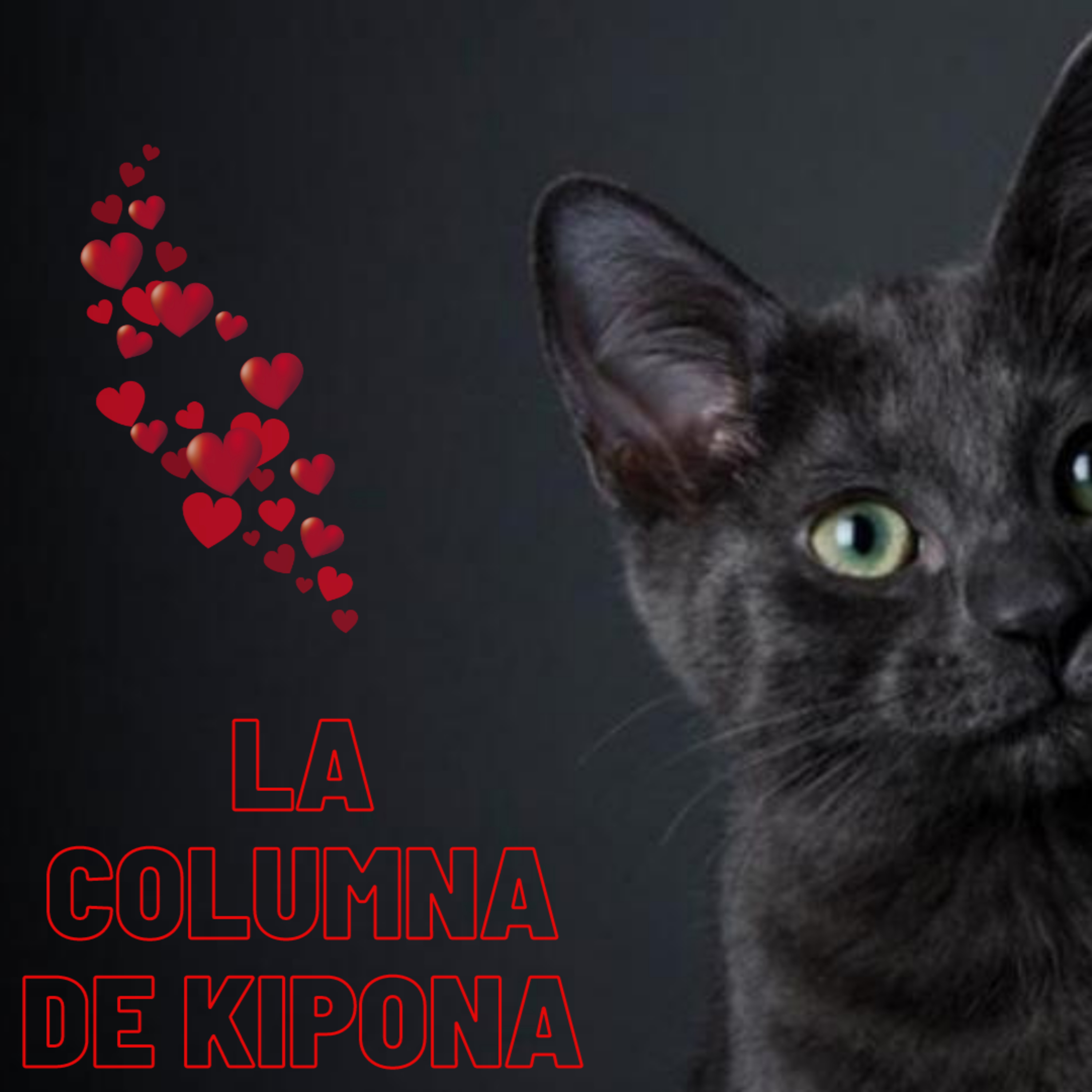 LA COLUMNA DE KIPONA :ESPECIAL REFUGIOS episode artwork